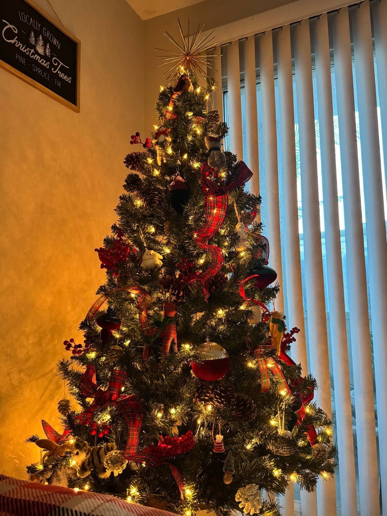 Photo by silveraccordlx