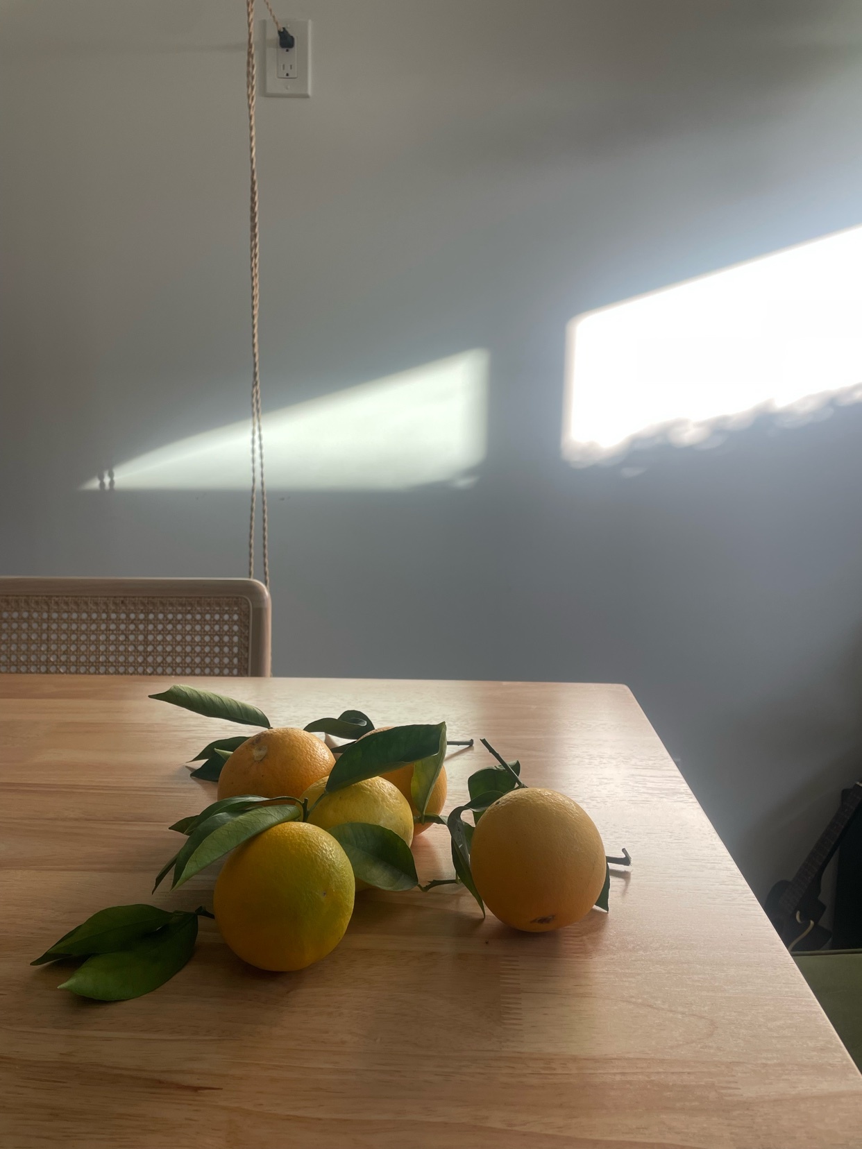 Photo by rileypolanski