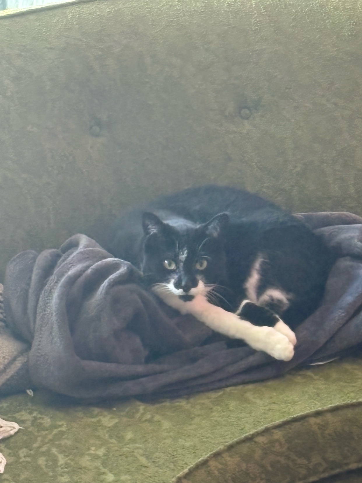 Photo by patrickowen