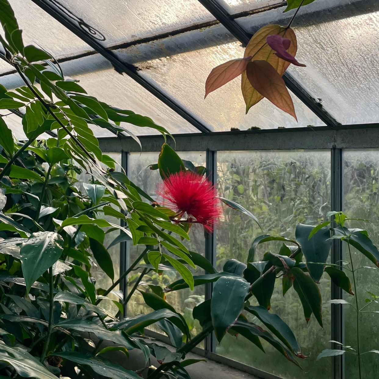 Photo by websterkebab