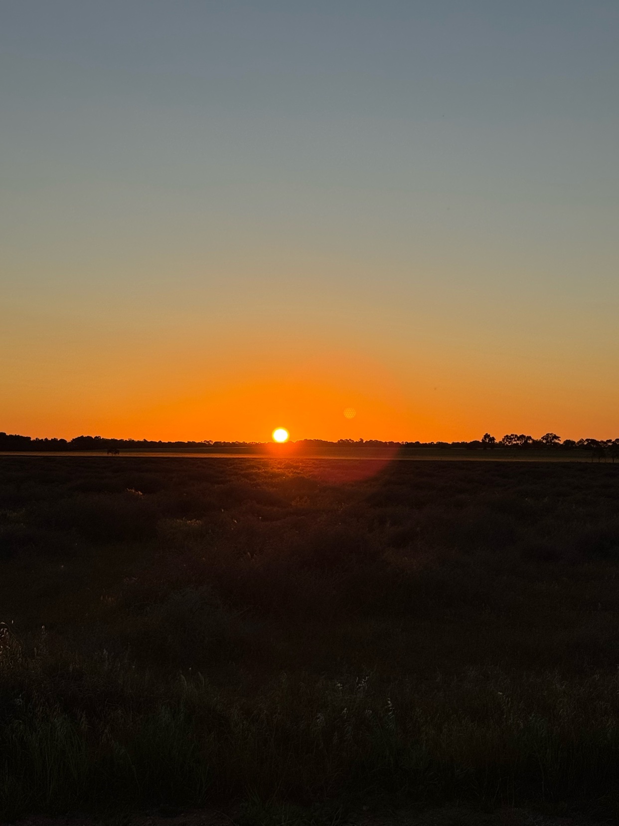 Photo by jacksonjames_2004