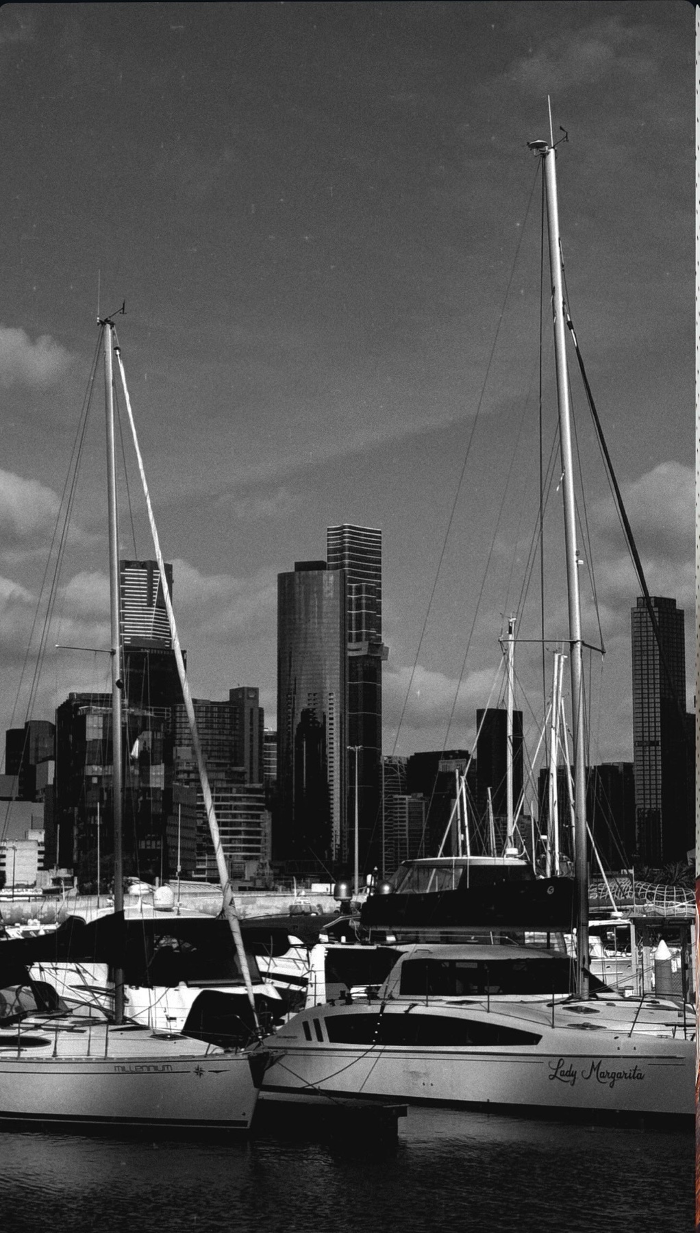 Photo by felipe_rooli