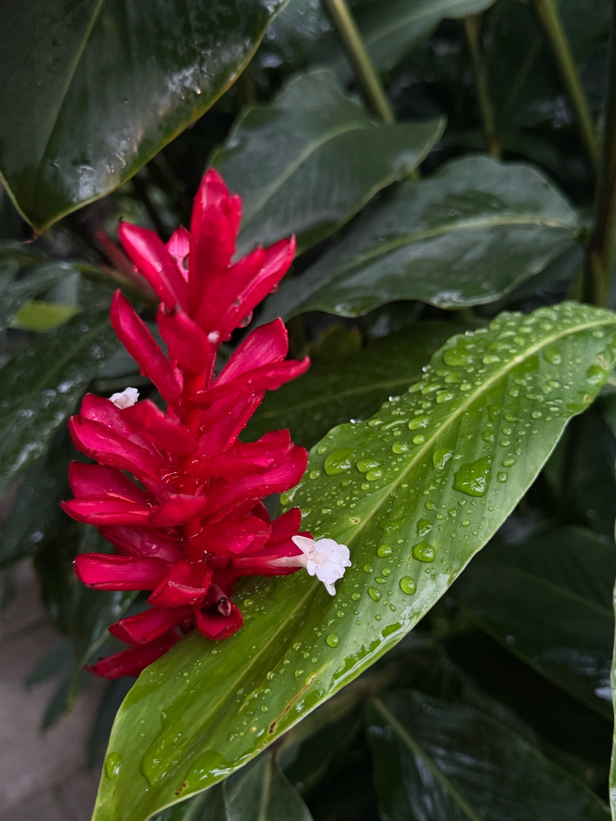 Photo by kelseyannelyse