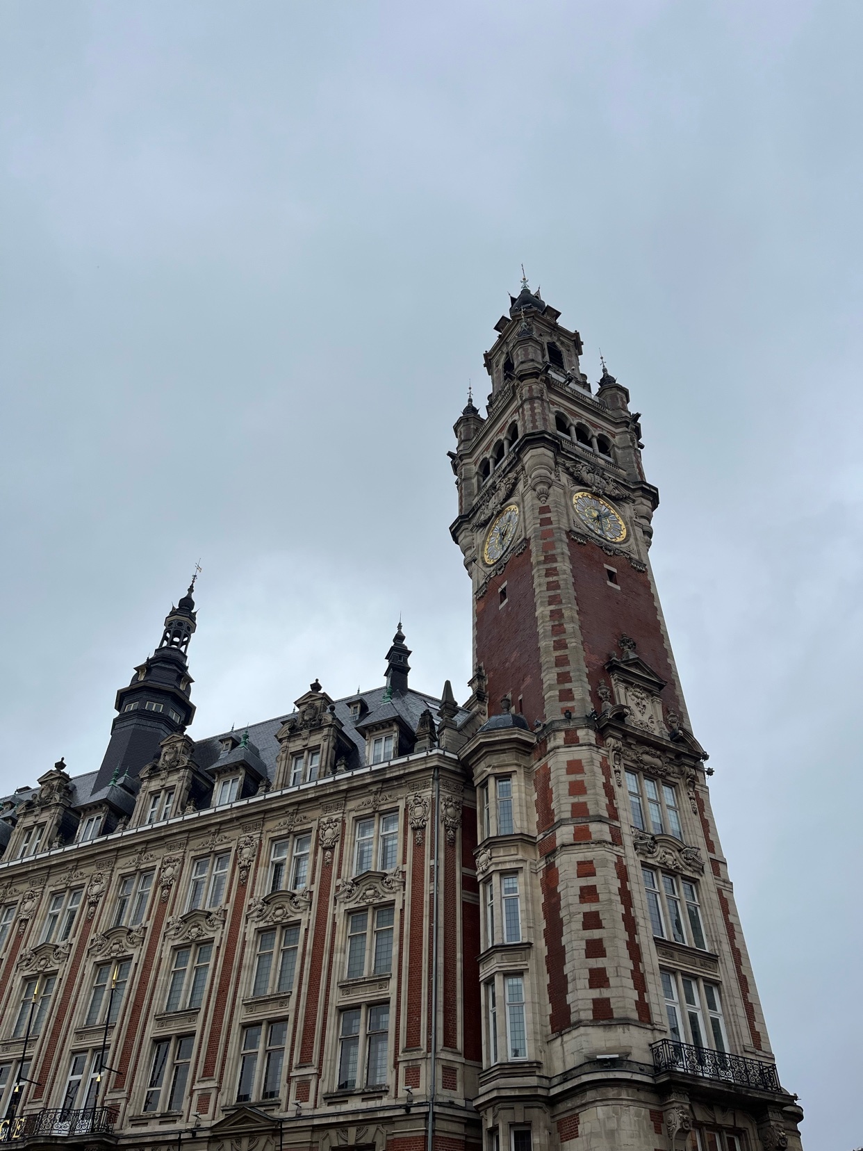 Photo by itsalexcuriel