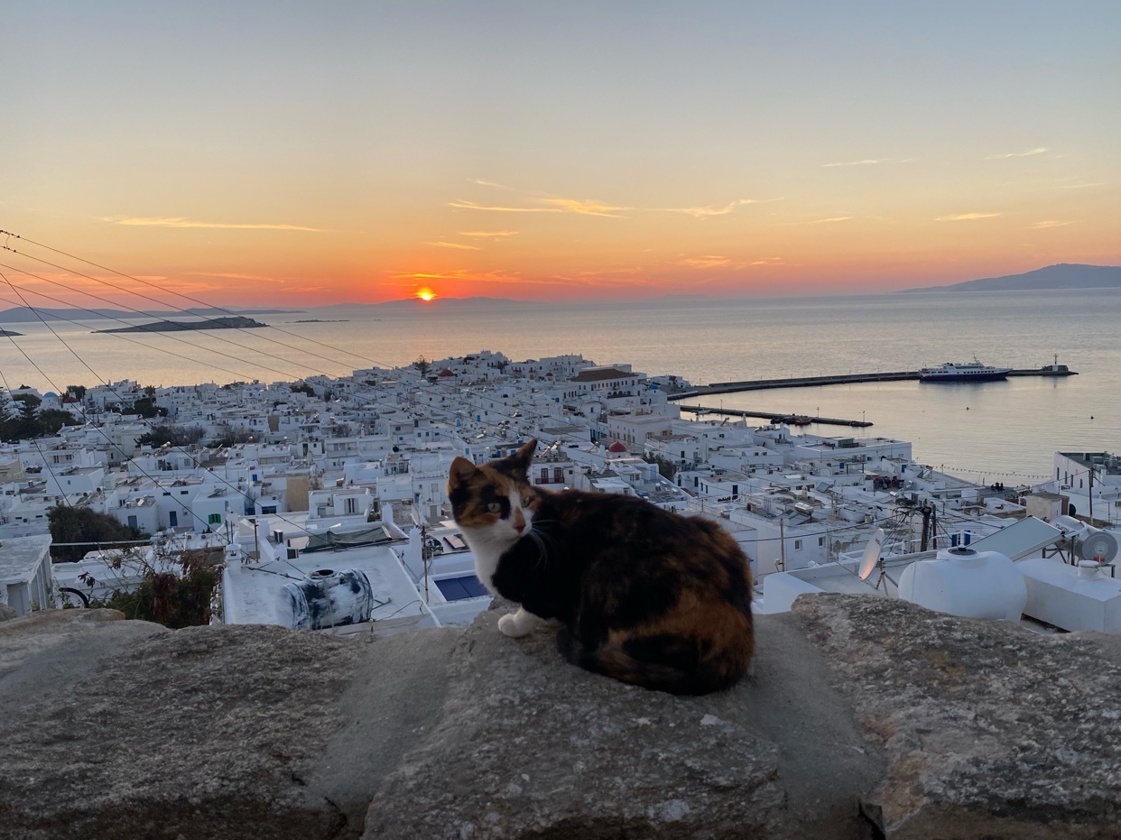 Photo by stingingsarcasm