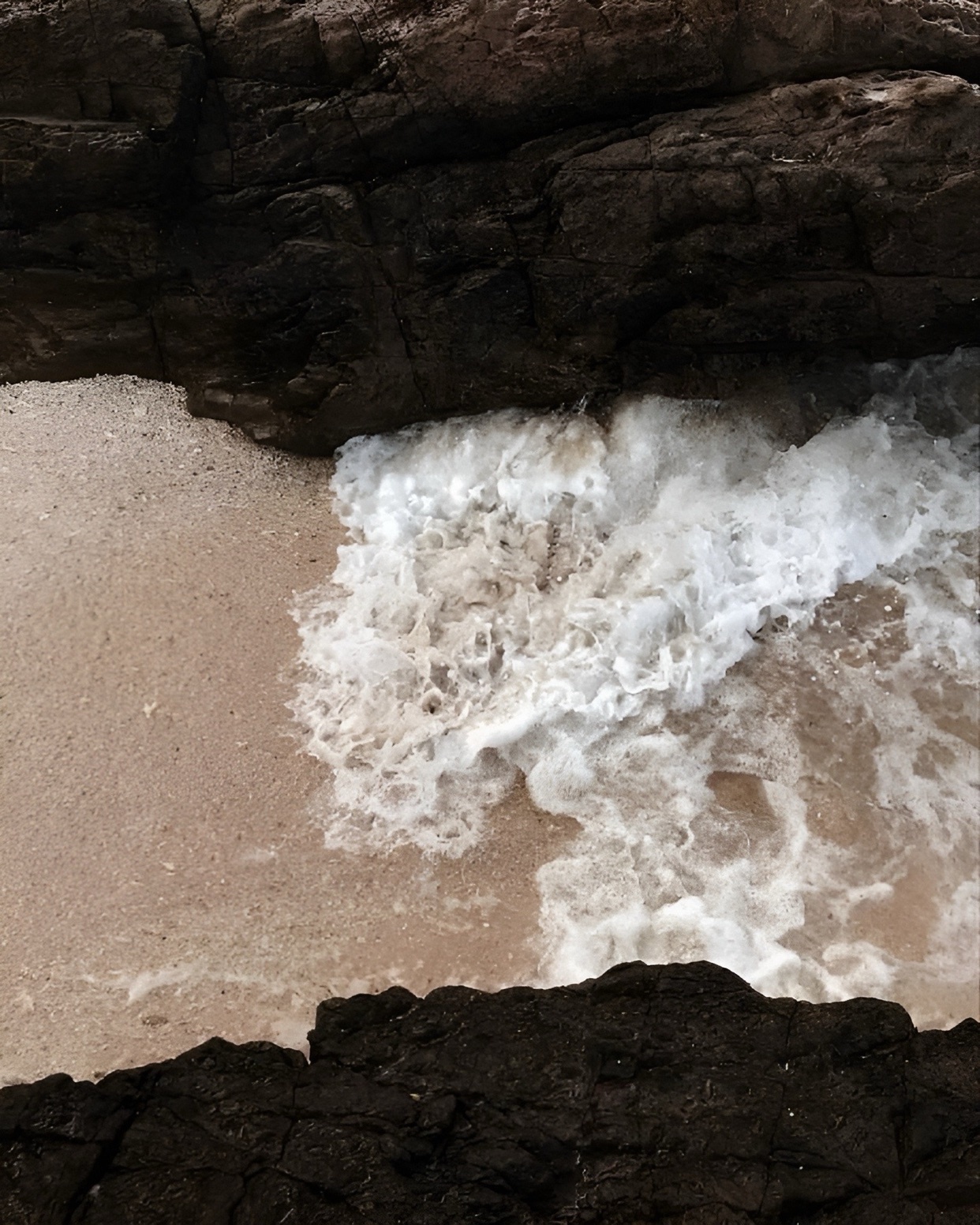 Photo by little.warri0r