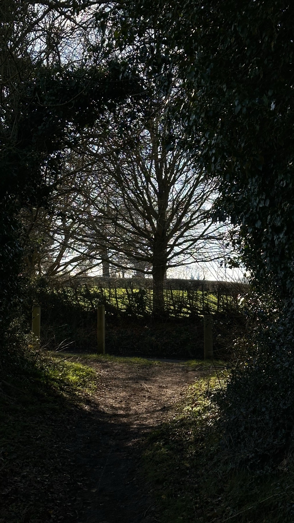 Photo by robjmel / Robert on Collective
