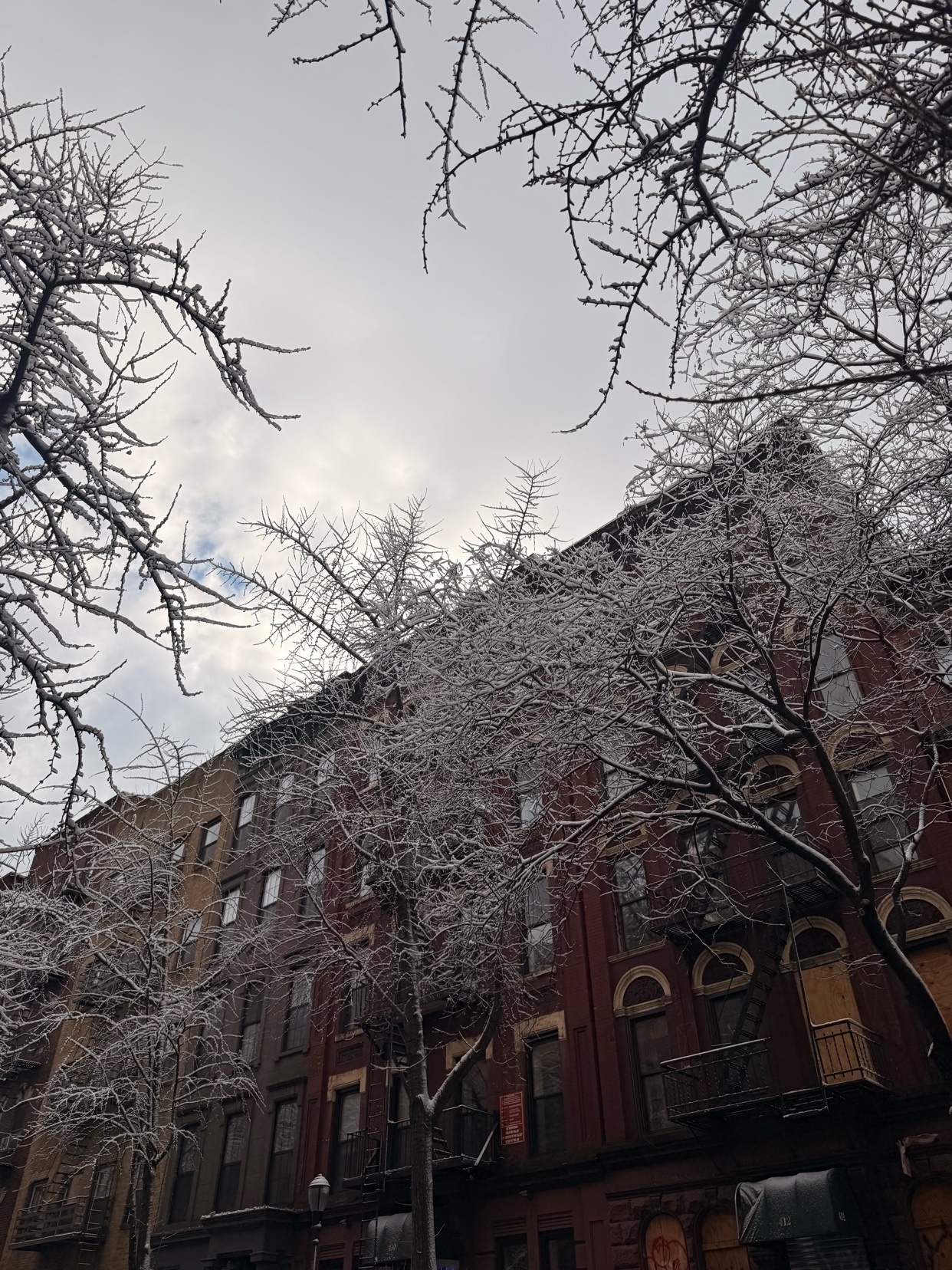 Photo by kings_world