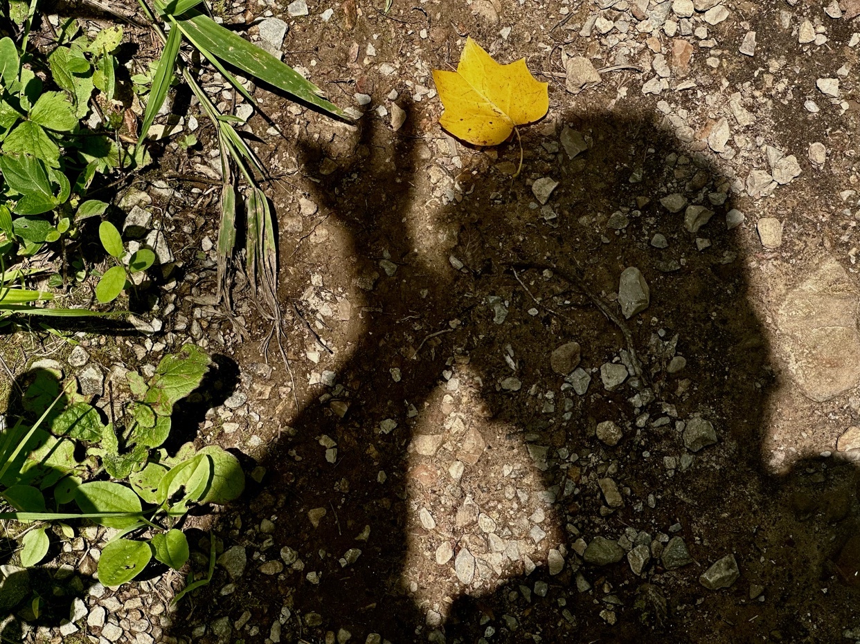 Photo by blessedjess