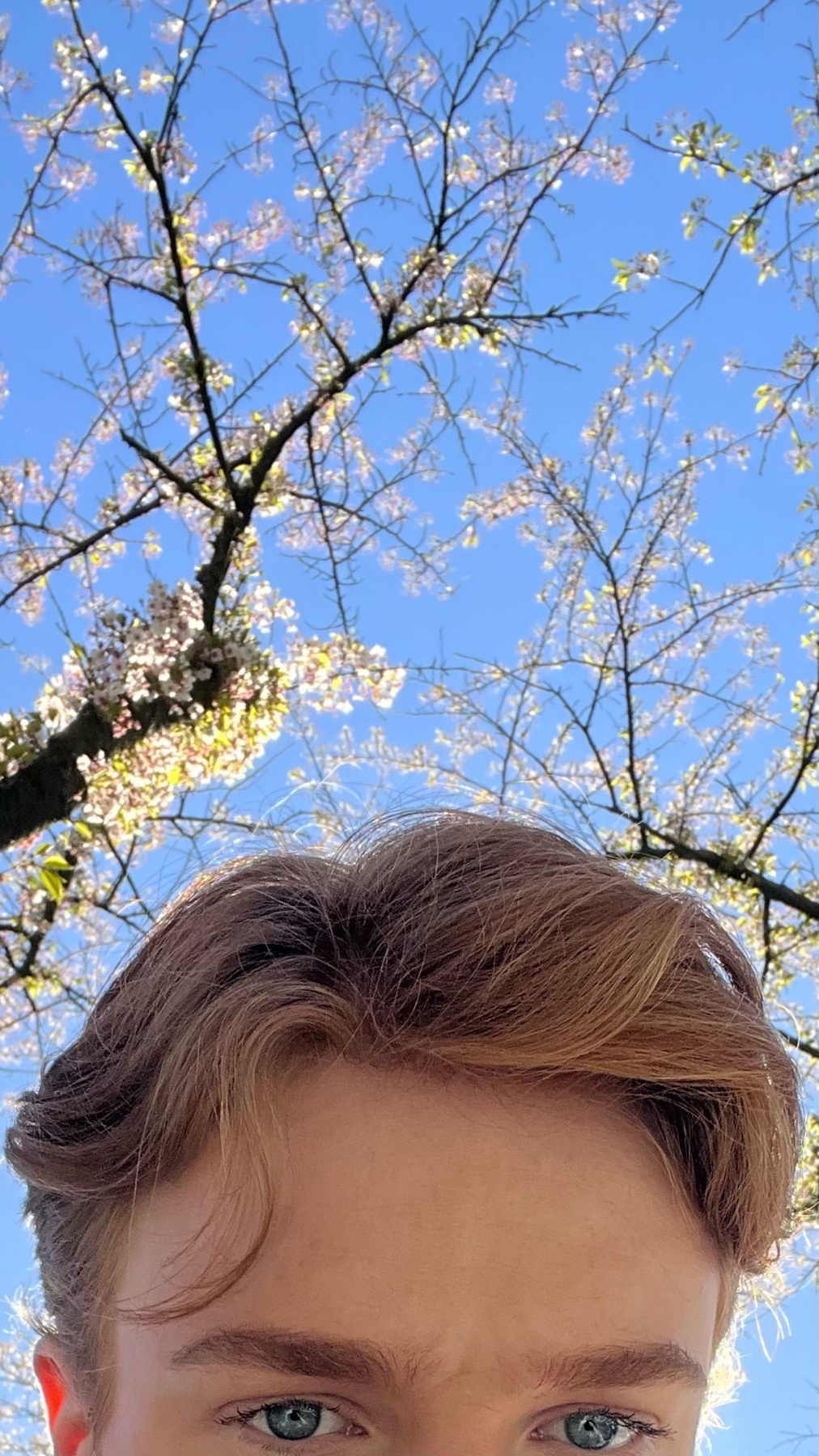 A close-up shot of a young man's eyes and forehead, looking up towards a bright blue sky. Cherry blossom branches with delicate pink and white flowers frame the top of the image, signaling the arrival of spring.