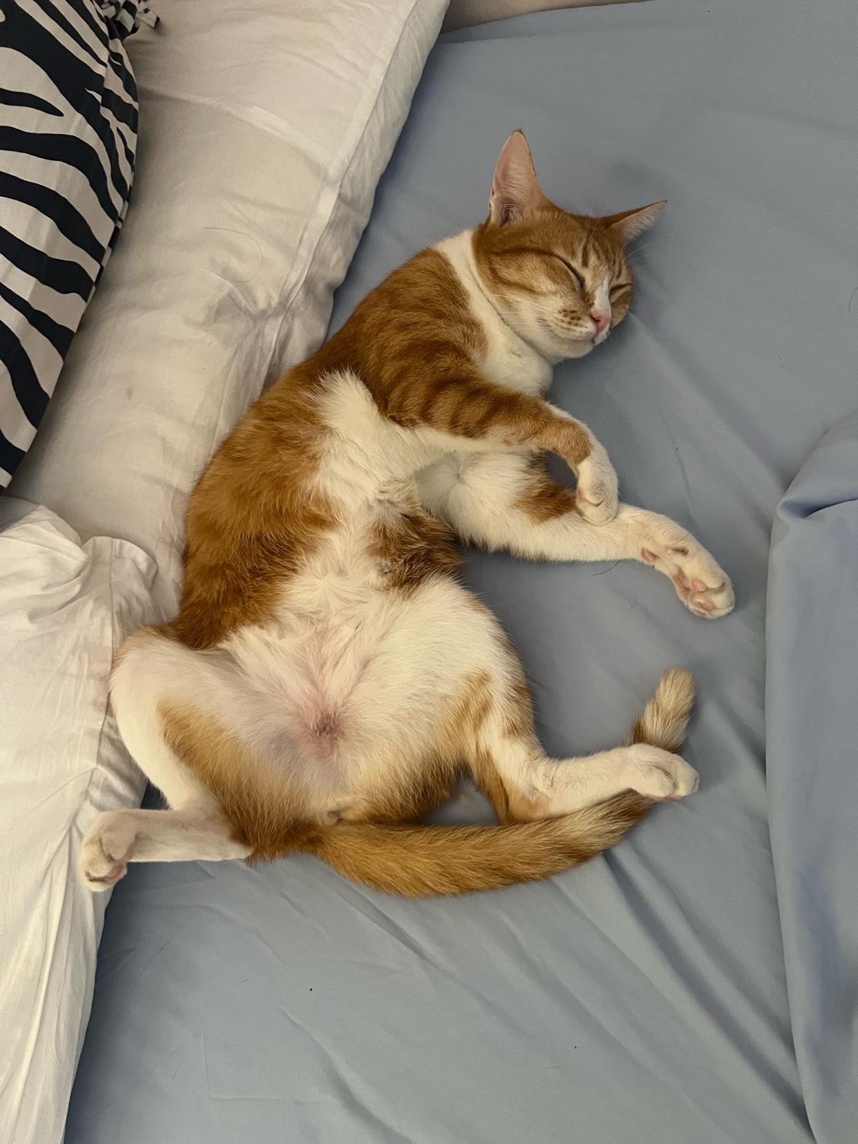 Photo by adriennedoesstuff