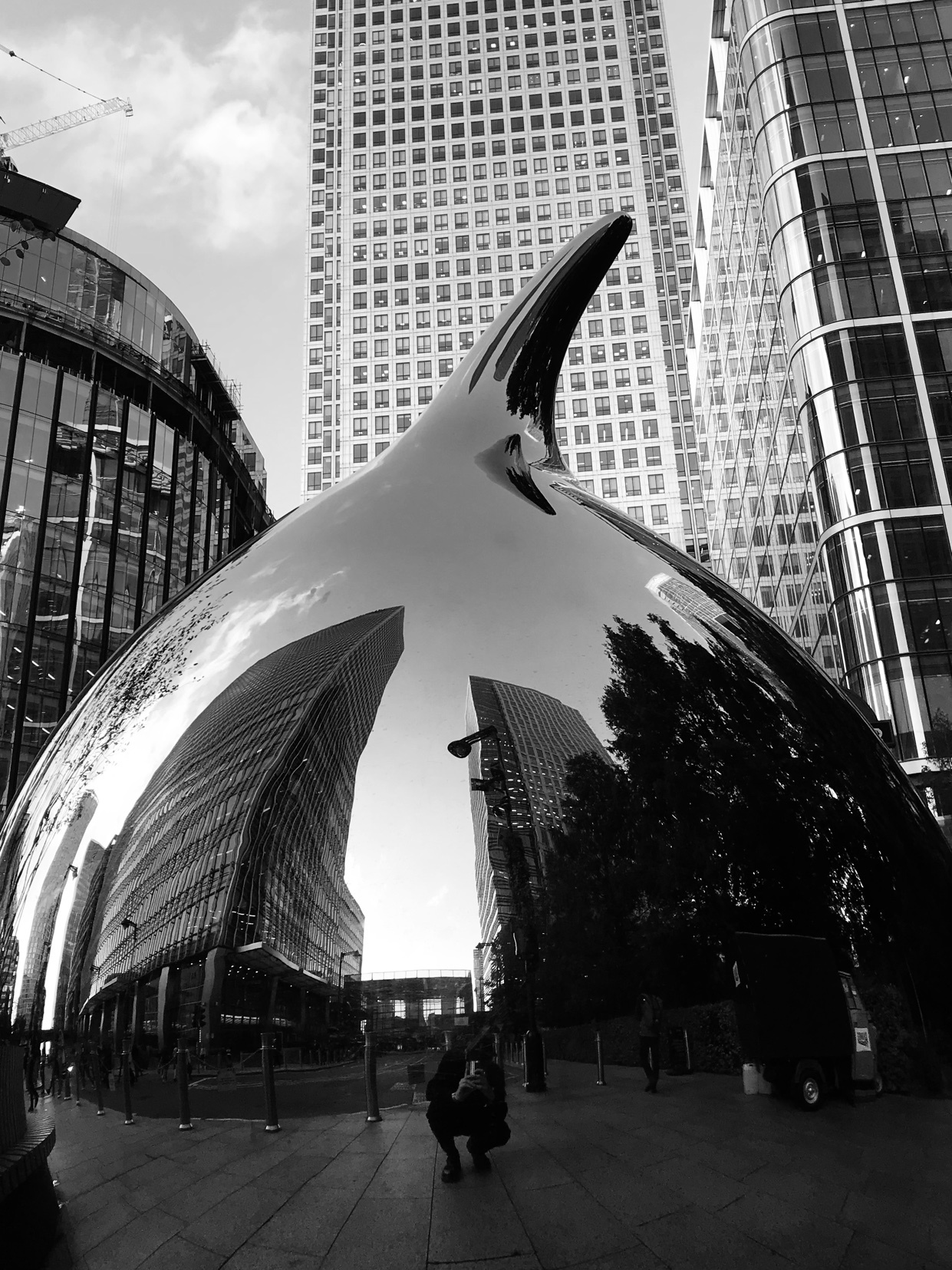 Photo by son_of_a_gun