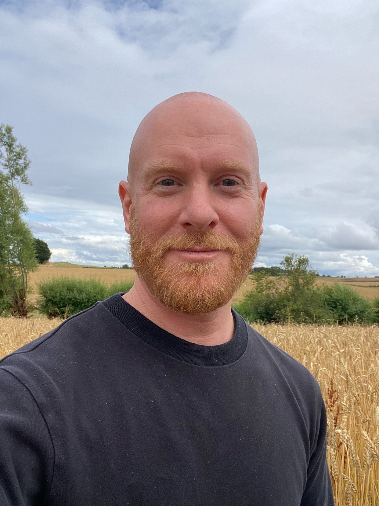 A man with a red beard and bald head takes a selfie in a wheat field. The sky is overcast.