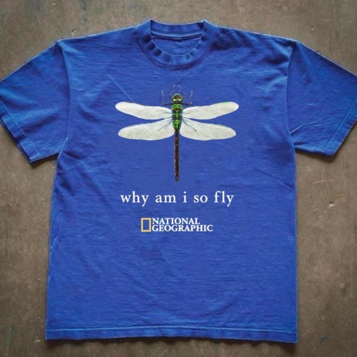 A blue t-shirt with a graphic of a dragonfly and the text "why am i so fly" above the National Geographic logo.