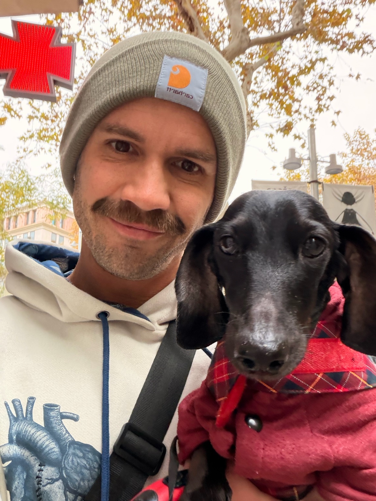 Photo by tindossantos