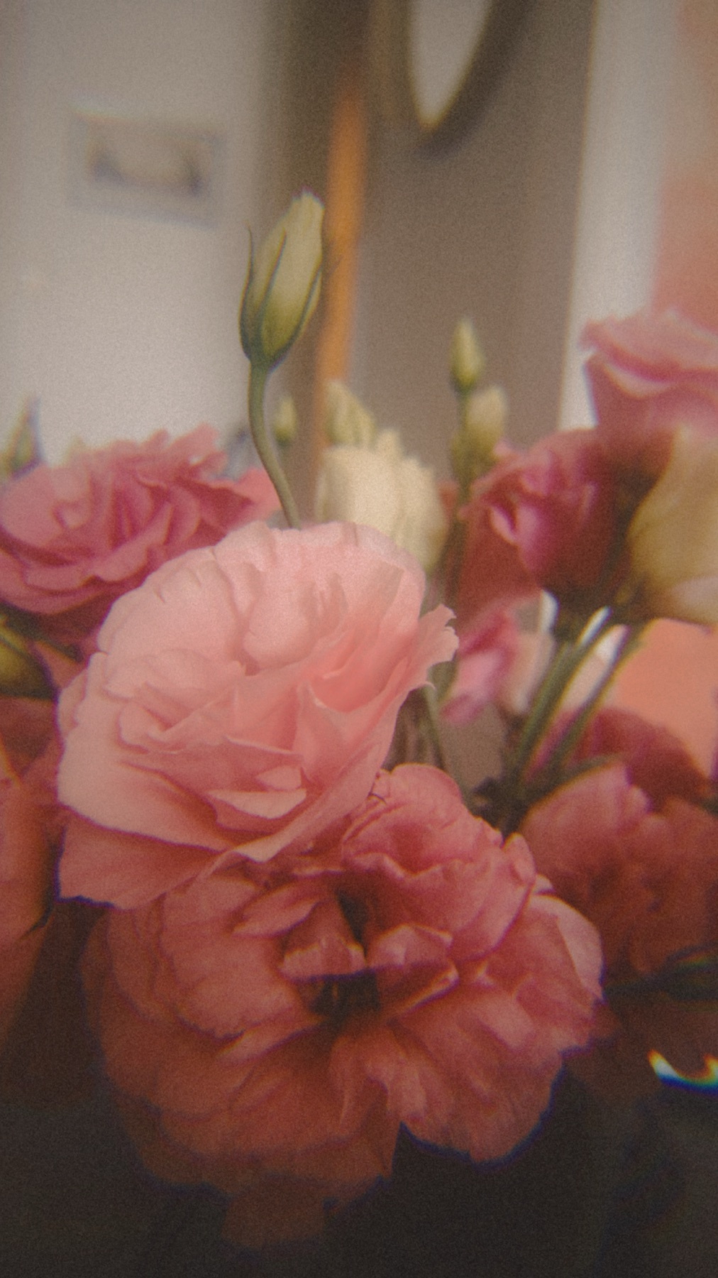 Photo by thiagopethit