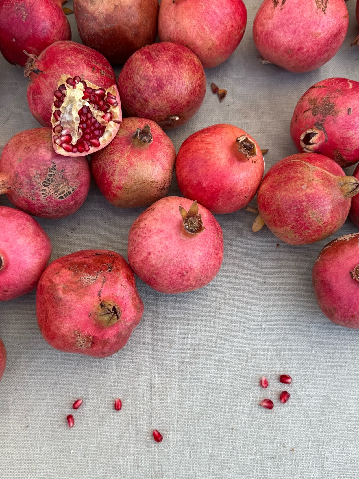 Photo by byjoshjames