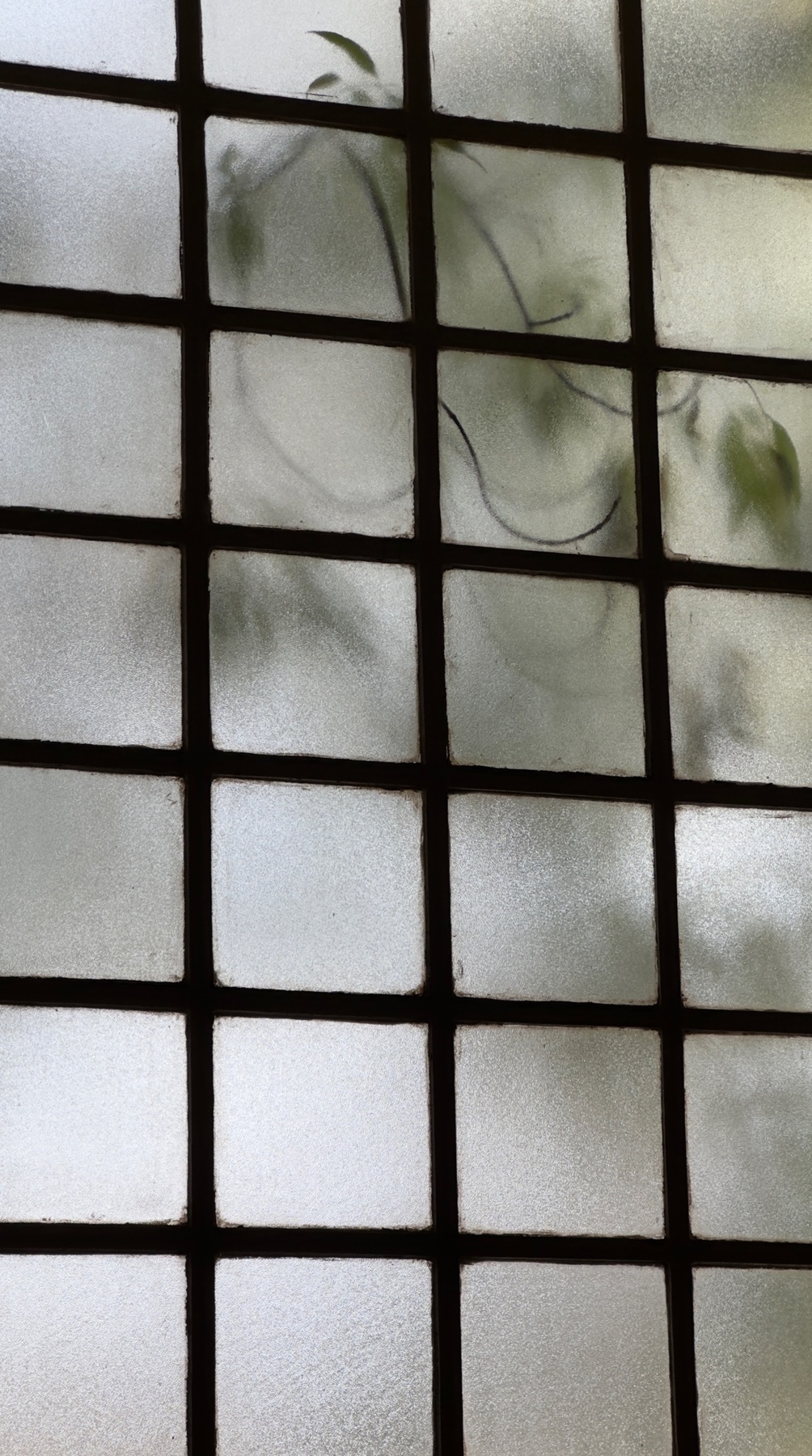 Photo by harrymcsteen