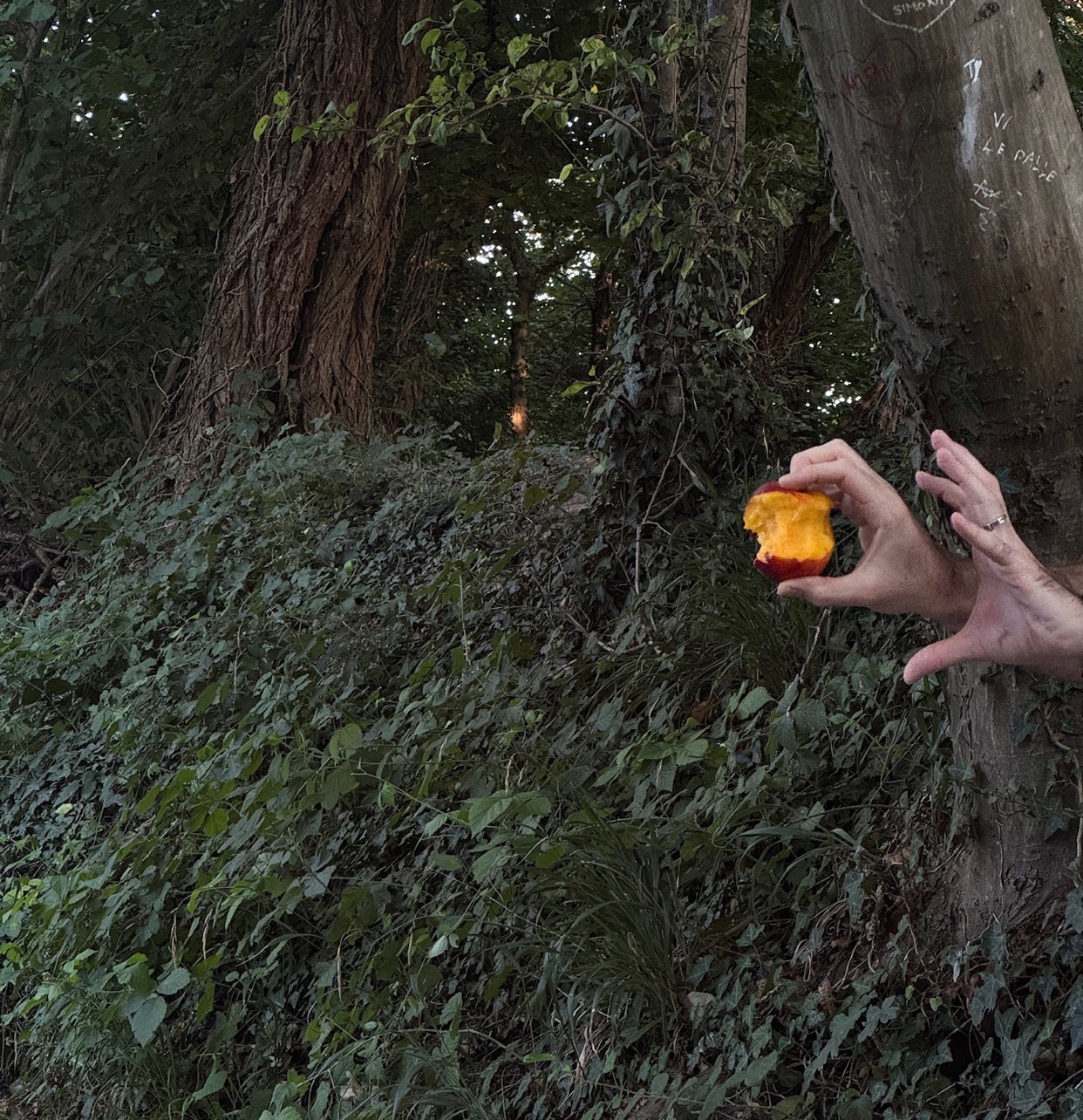 A hand holds a bitten apple in front of a lush green forest background. The apple is red and yellow, with a bite taken out of it, revealing the white flesh inside. The hand is reaching out, as if offering the apple or about to take another bite.