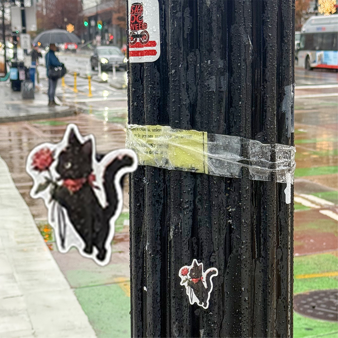 A black cat sticker holding a rose is affixed to a black pole on a rainy city street. The image captures a whimsical moment in an urban environment.