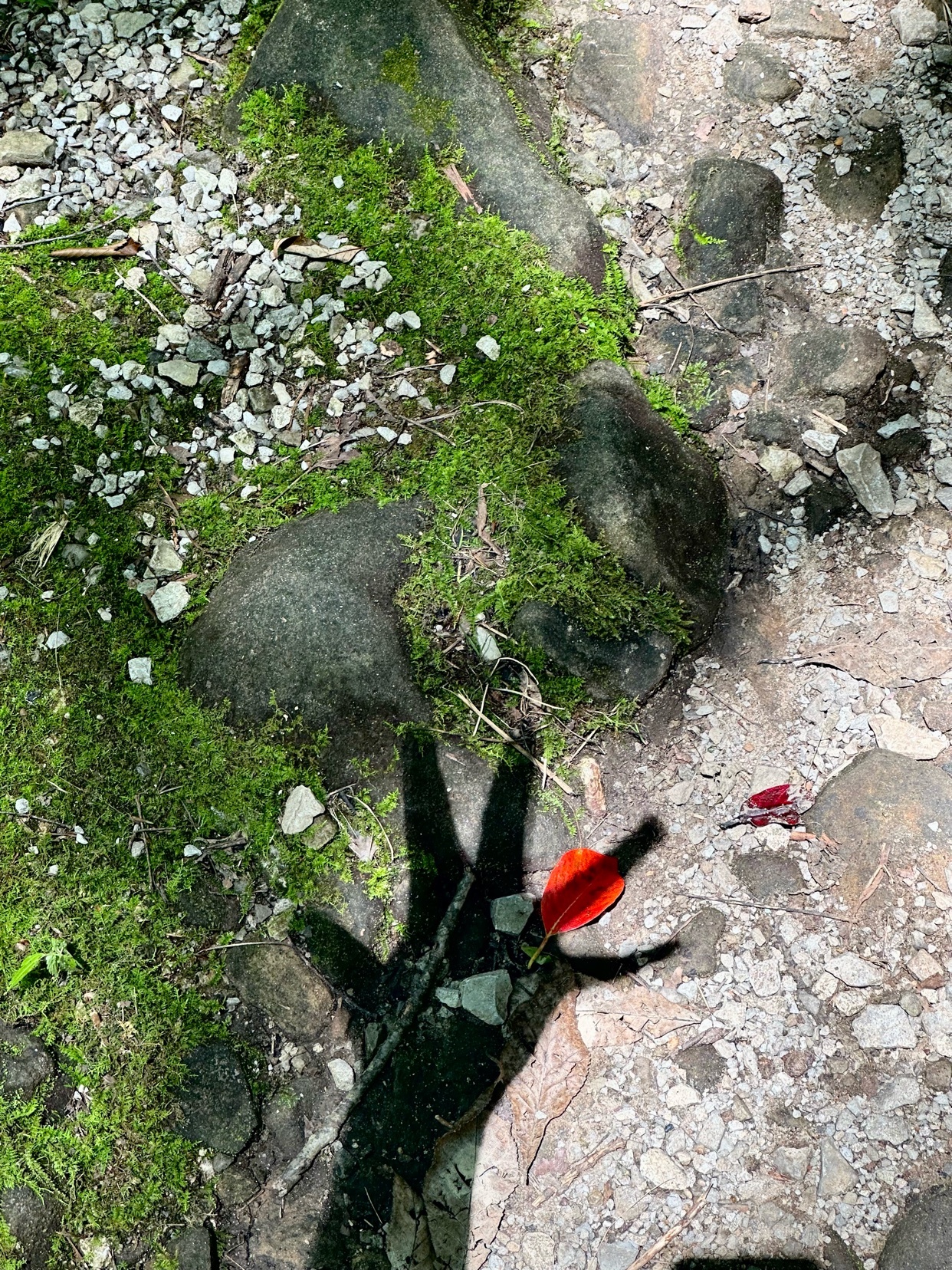 Photo by blessedjess