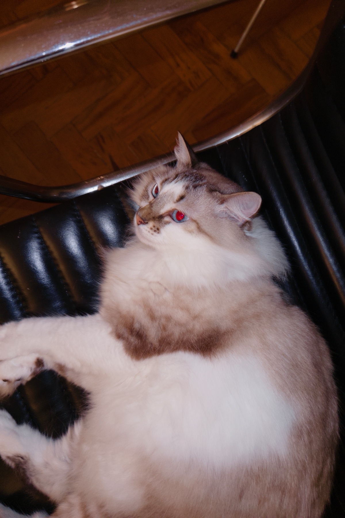 Photo by eduardojorg