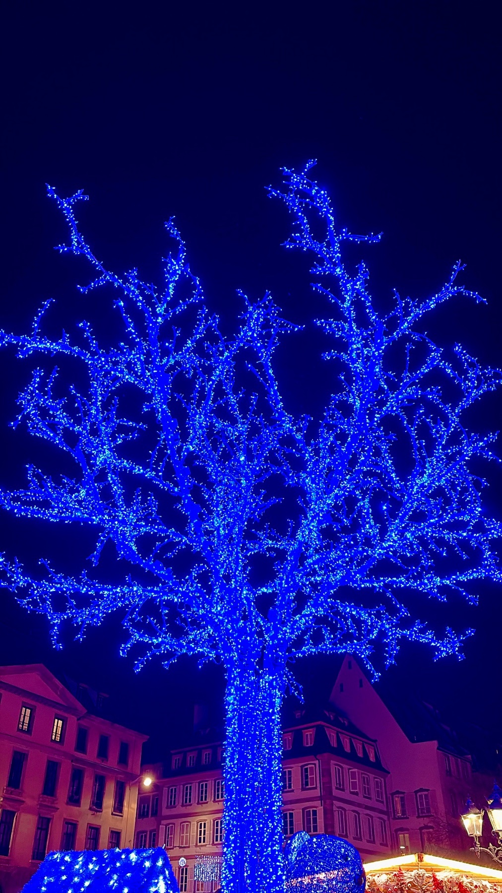 A tree is completely covered in bright blue Christmas lights against a dark night sky. Buildings with illuminated windows are visible in the background.
