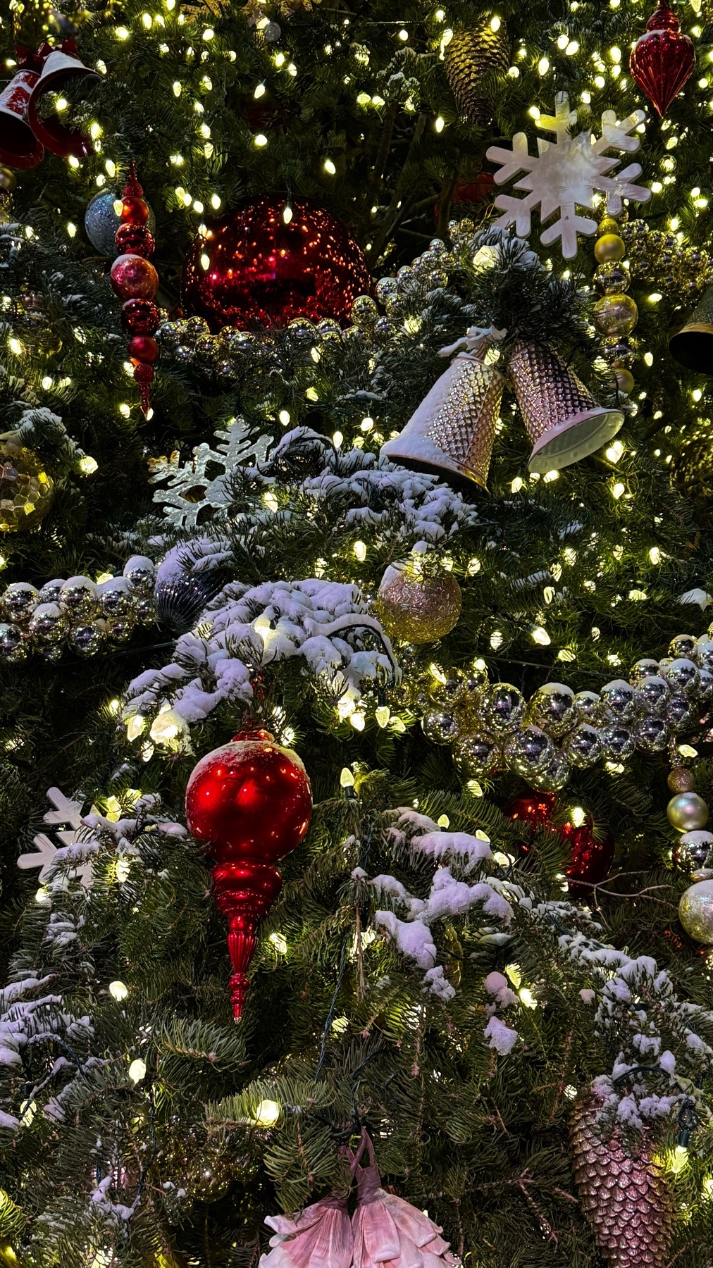 Photo by brian-armando