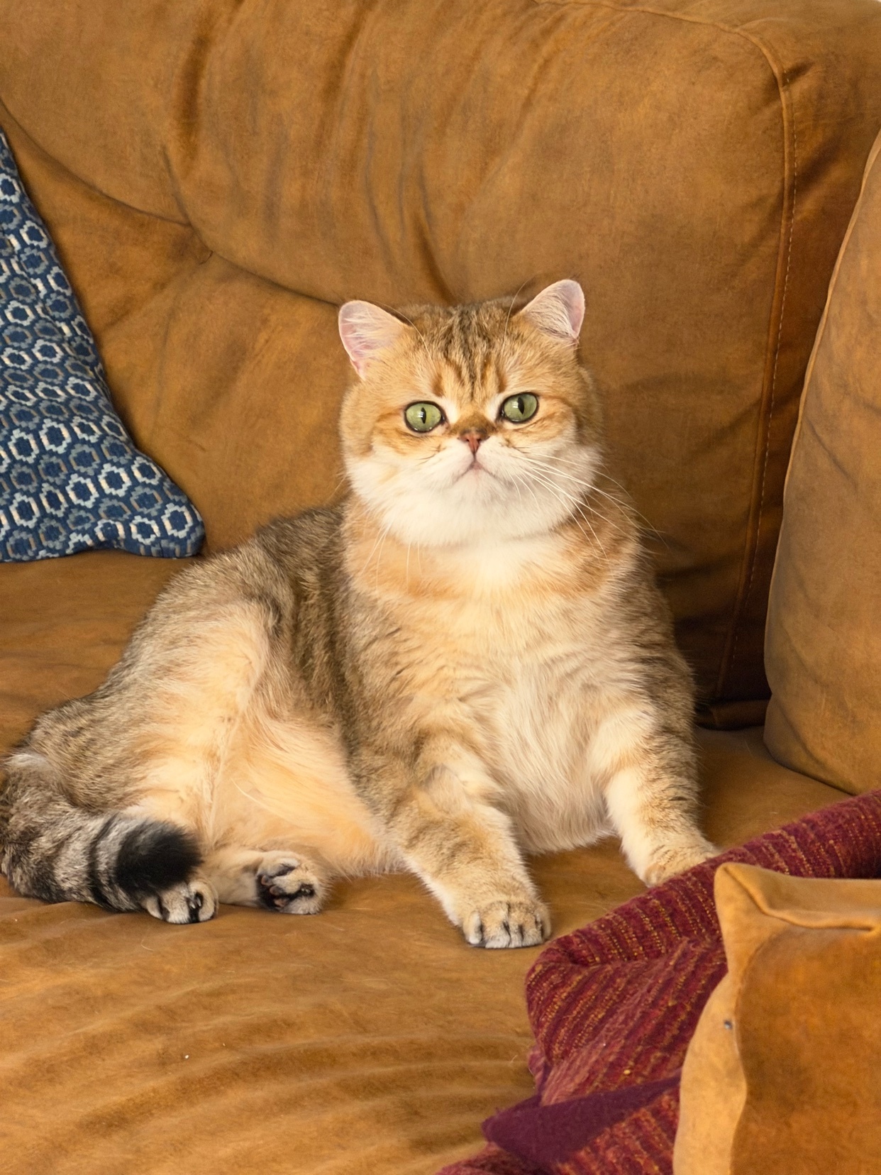 Photo by eduardo-1985