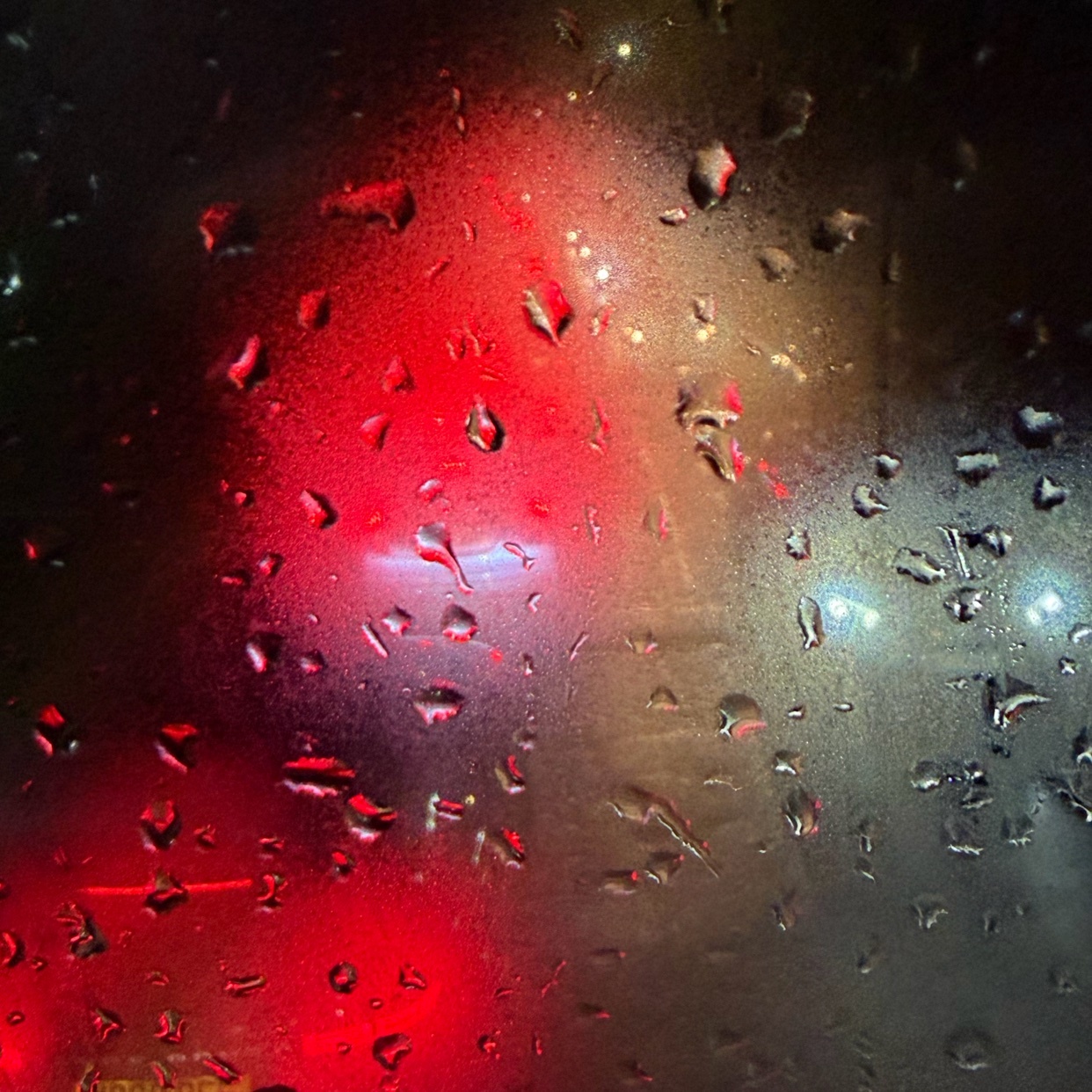 Photo by eightlegsright