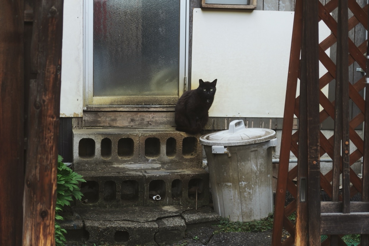 Photo by kayle / Kayle on Collective