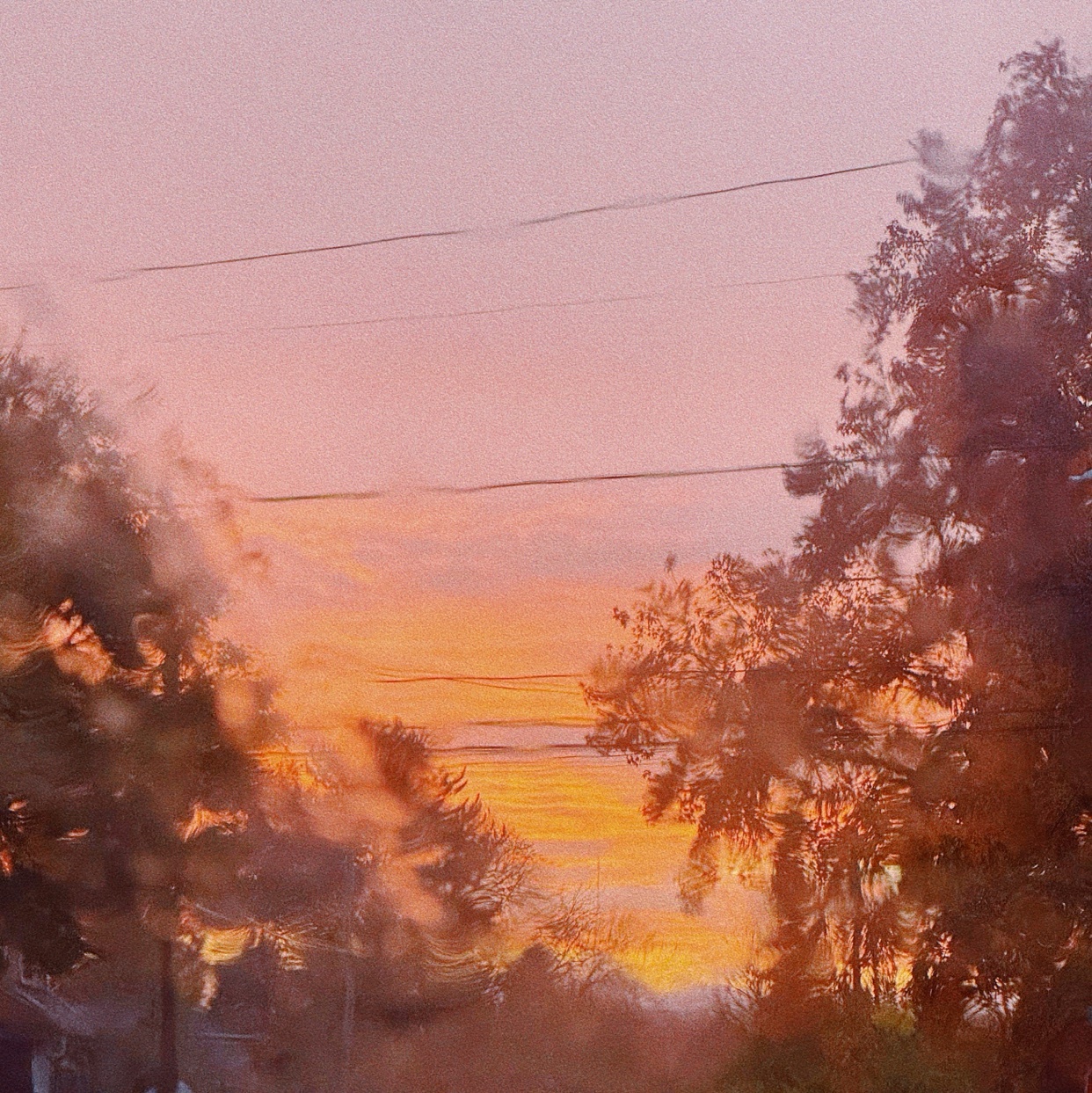 Photo by londongnarly