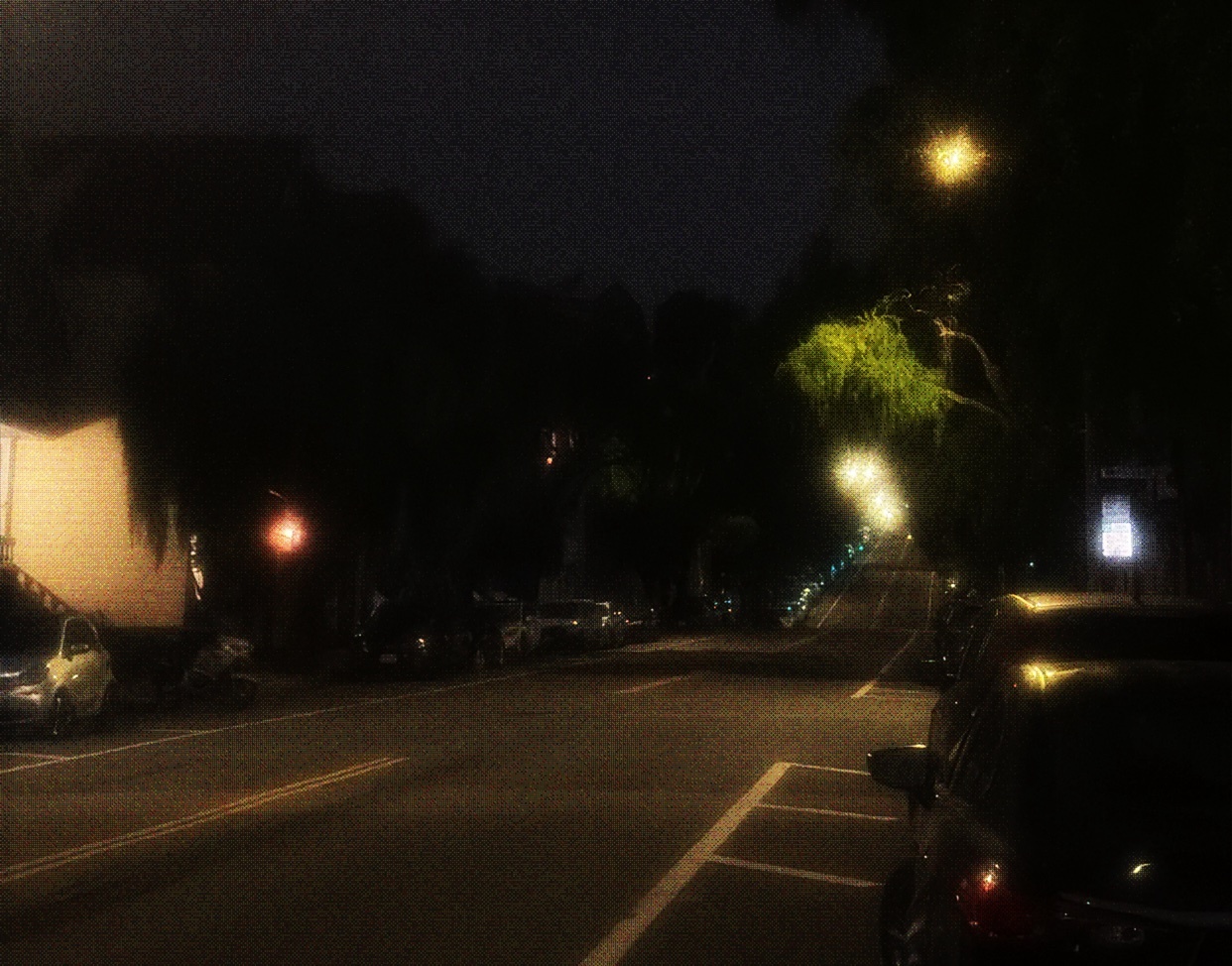 Photo by jaelensalvatore