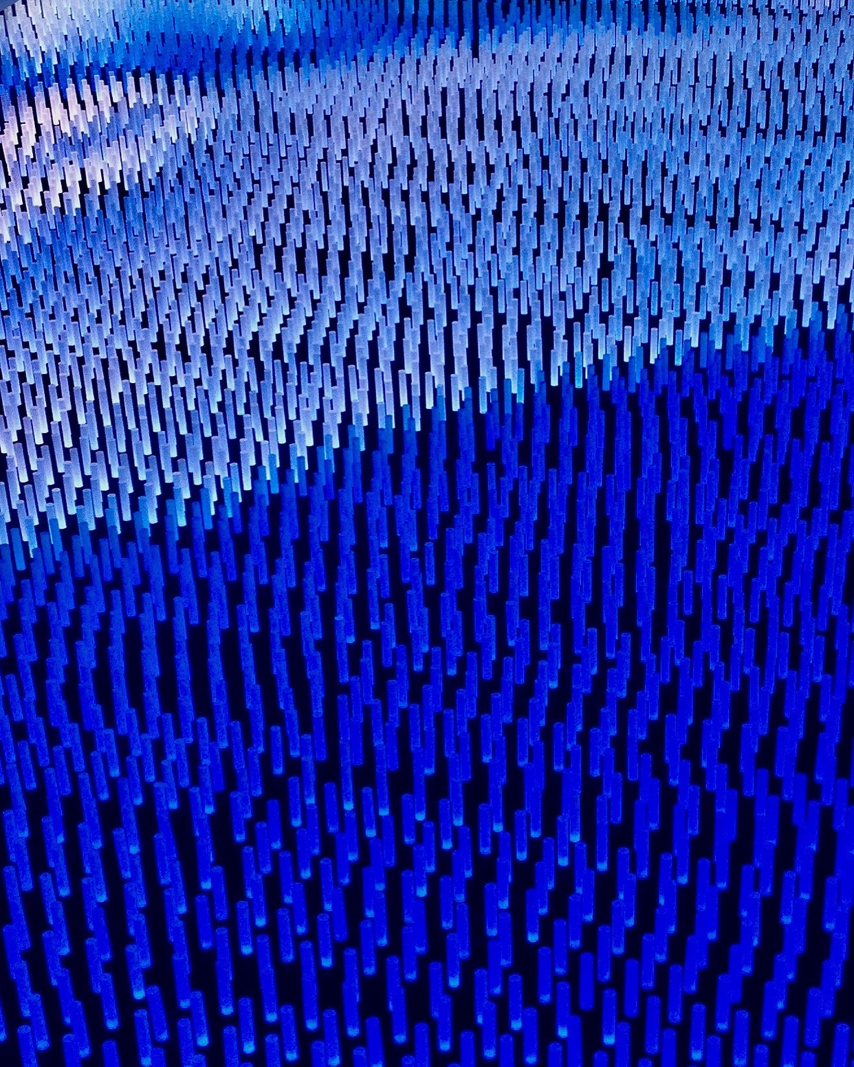 Photo by eliasvescovi