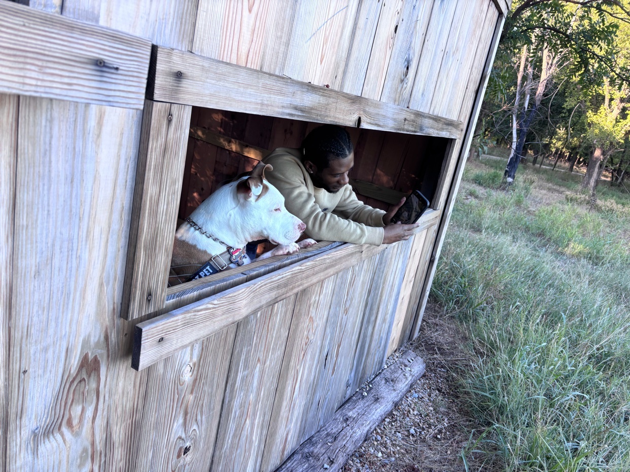 A man and his white pit bull dog lean out of a wooden structure in a grassy, wooded area.