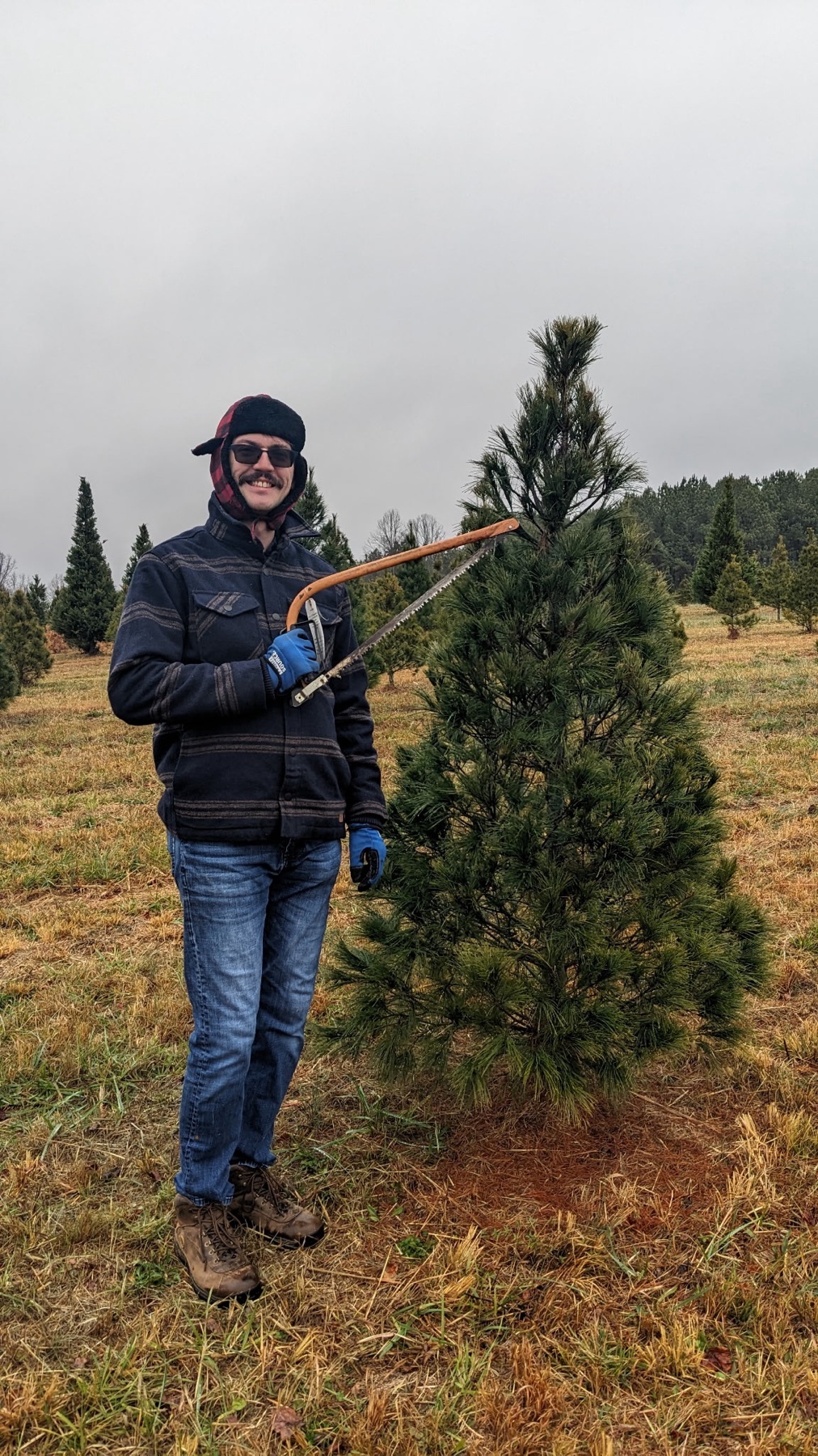 Photo by liveactually