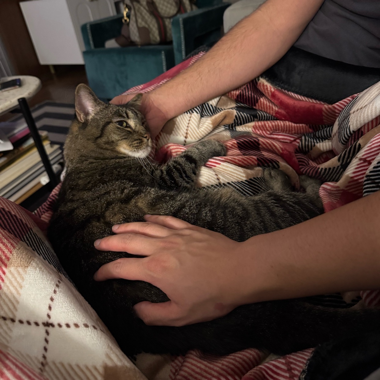 Photo by silveraccordlx