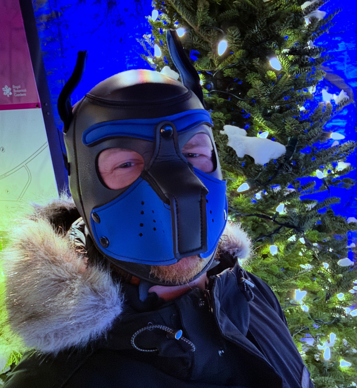 Photo by pup_kenzo_25