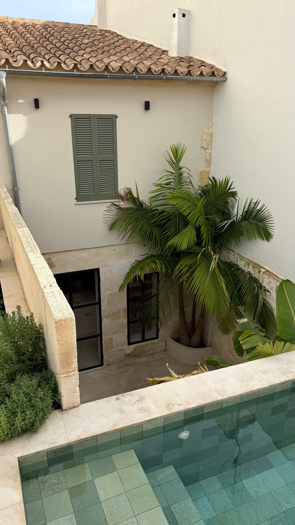 An overhead shot of a modern home with a pool and a palm tree. The architecture is minimalist and stylish.