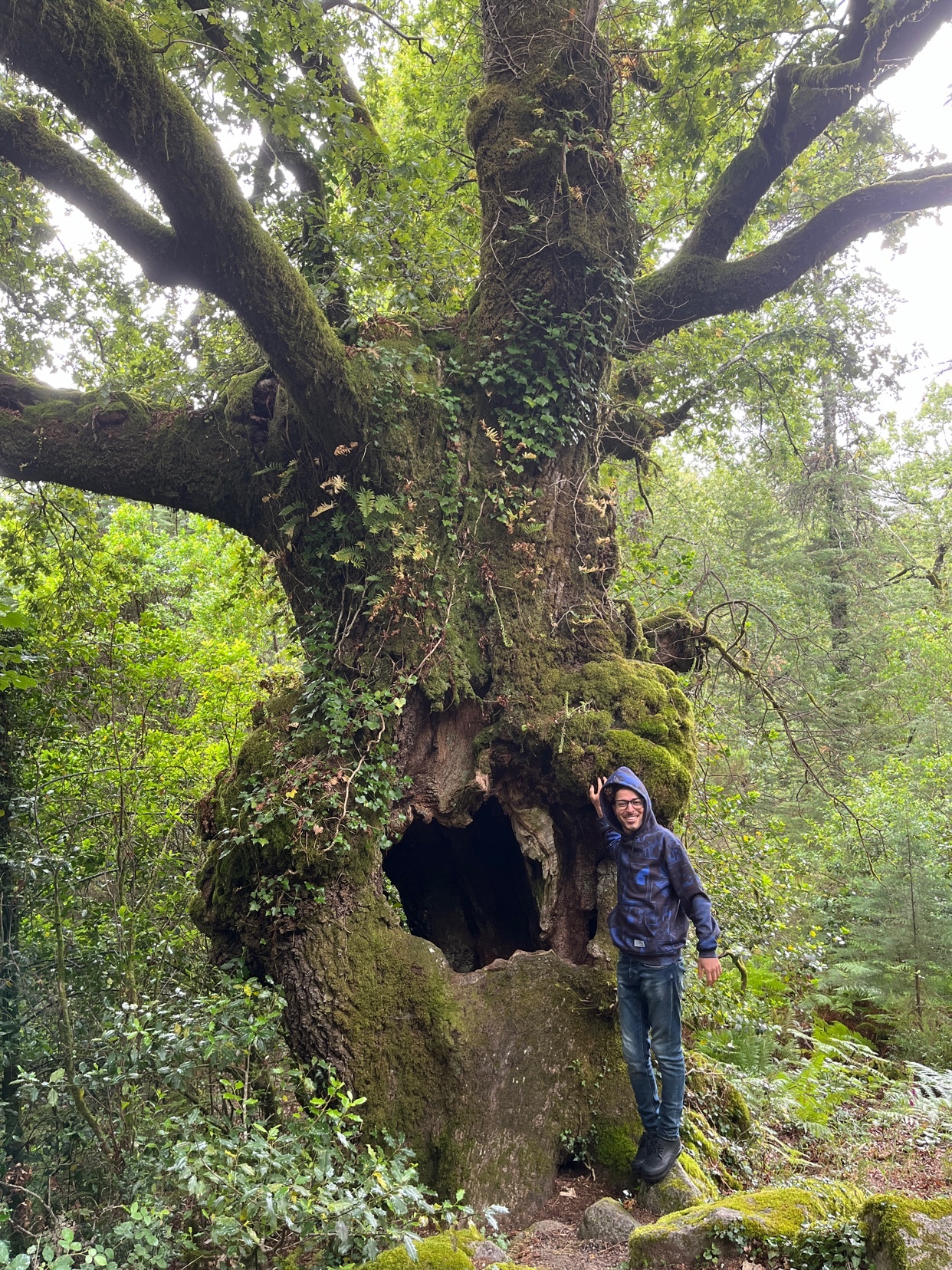 Photo by jeremiaspalagani