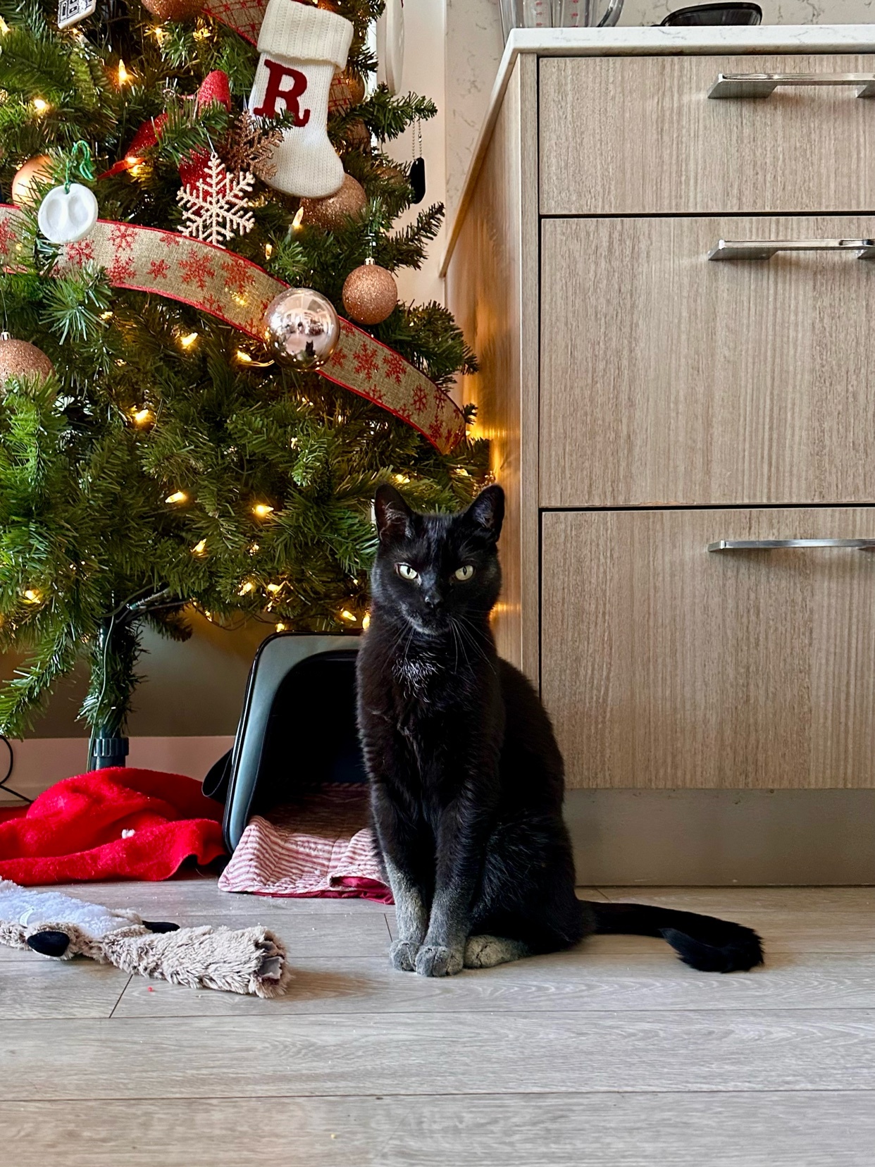 Photo by whatismahmoud