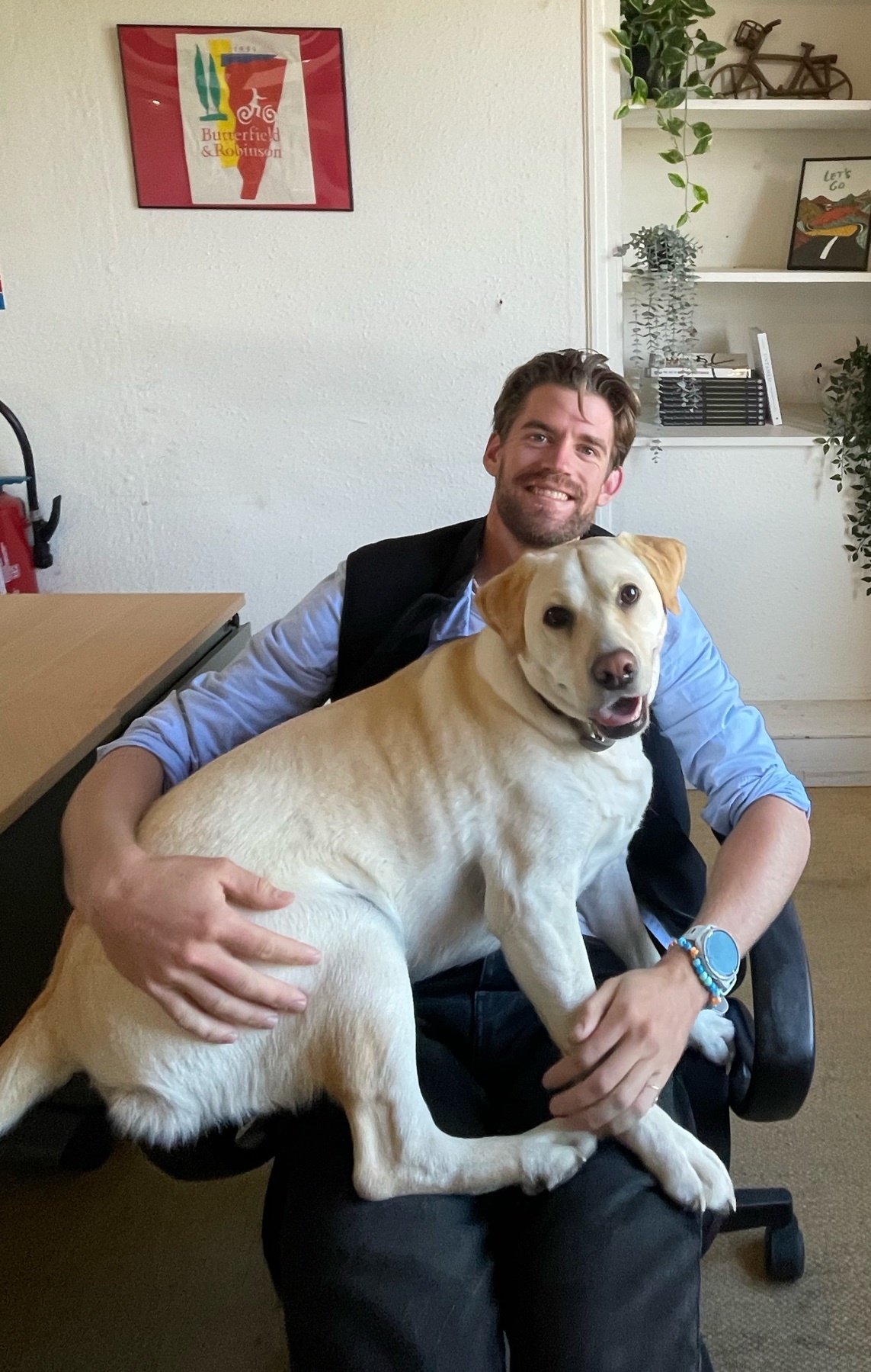 A man sits in a chair with a yellow labrador dog in his lap. Both the man and the dog are smiling.