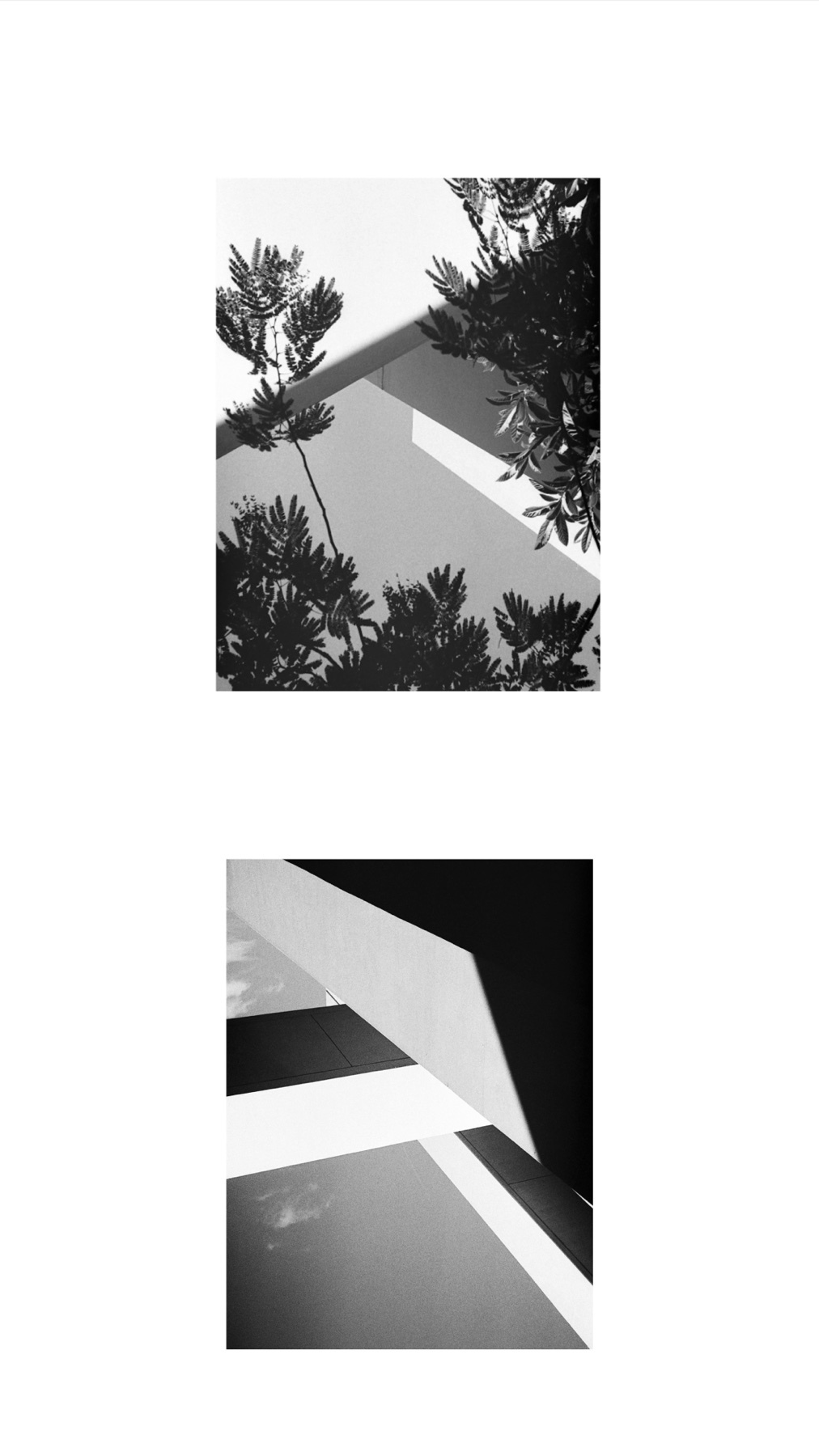 Photo by mujerdelranxho