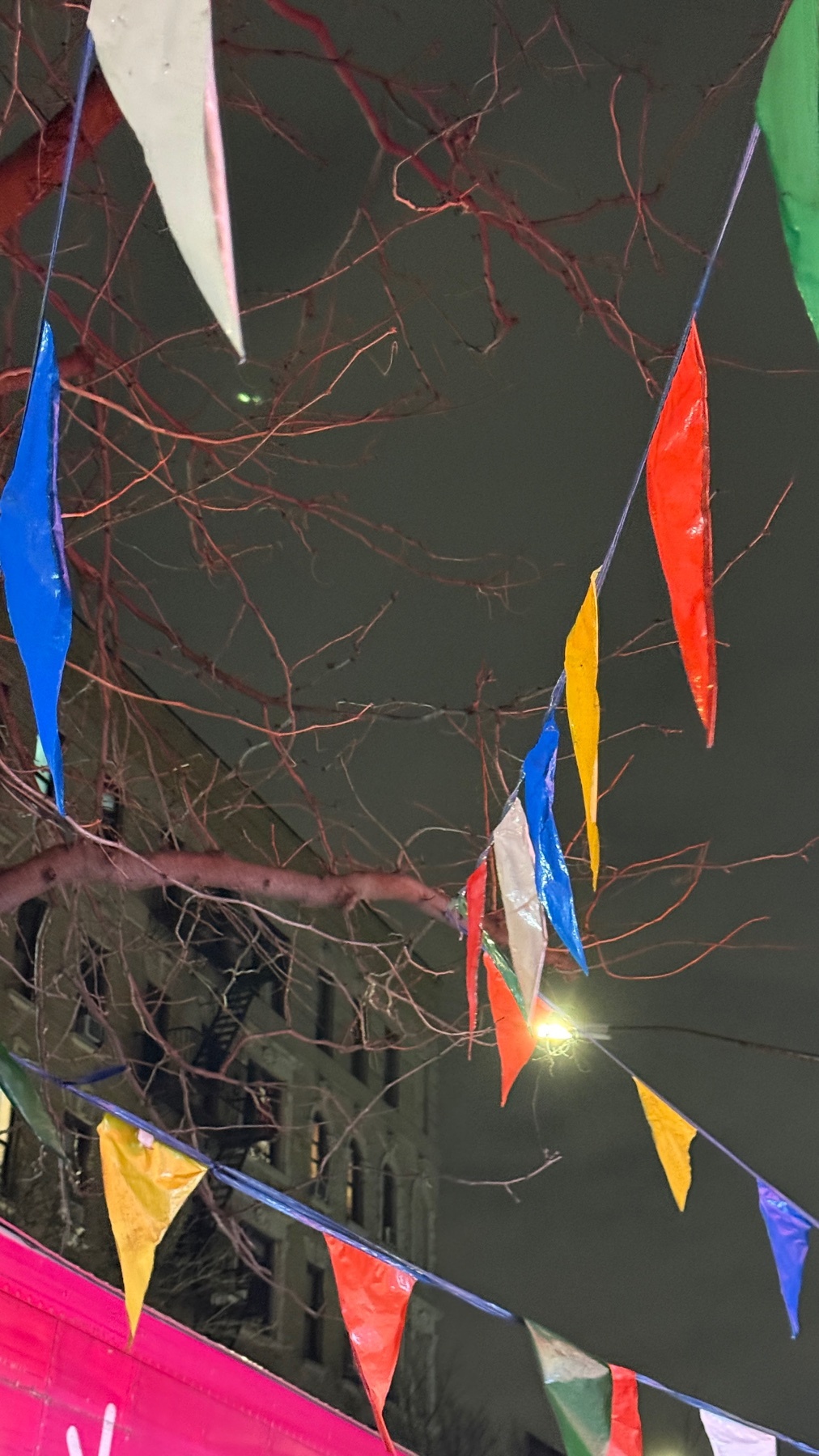 A nighttime shot of colorful flags strung across a street. The flags are lit up against the dark sky.