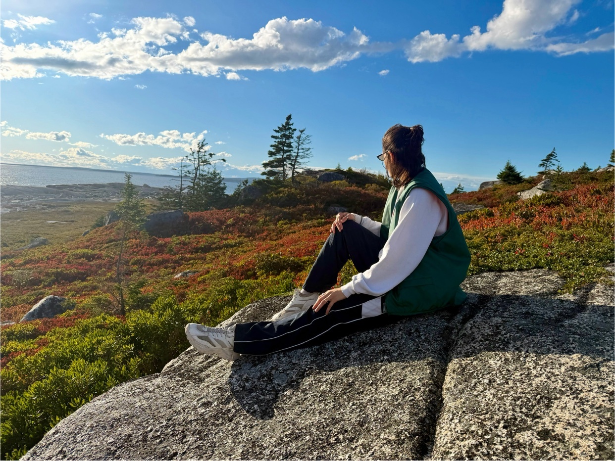 A woman sits on a large rock, looking out at a scenic coastal landscape under a bright blue sky with fluffy clouds. The surrounding hills are covered in vibrant red and green foliage, with scattered trees and rocky outcrops.