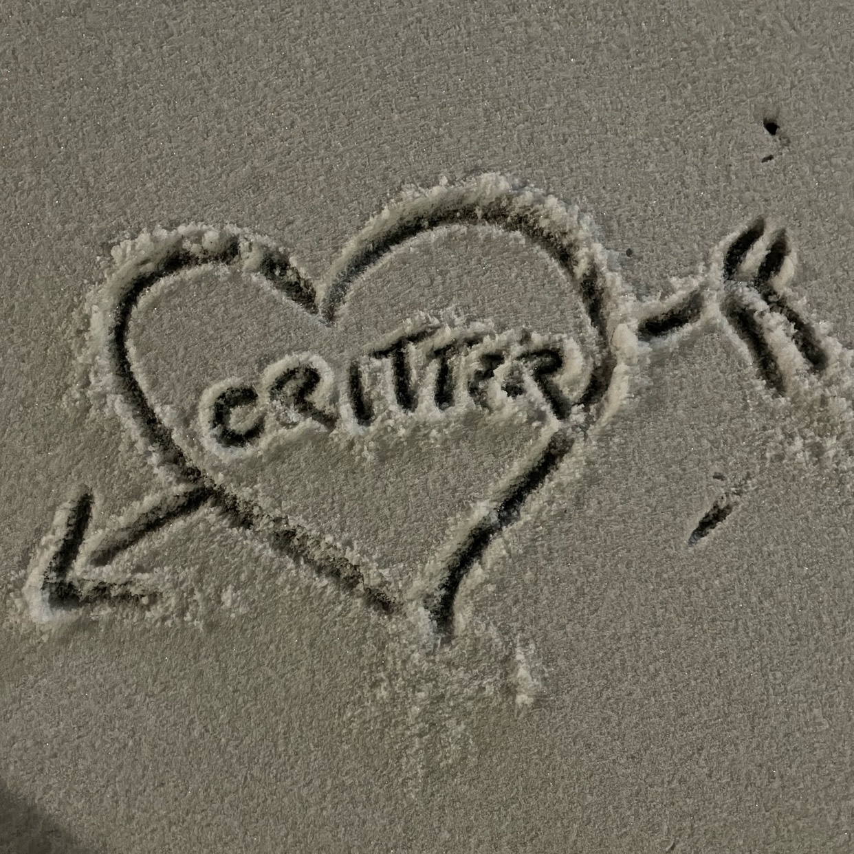 A heart with an arrow through it is drawn in the sand on a beach. The word "CRITTER" is written inside the heart.