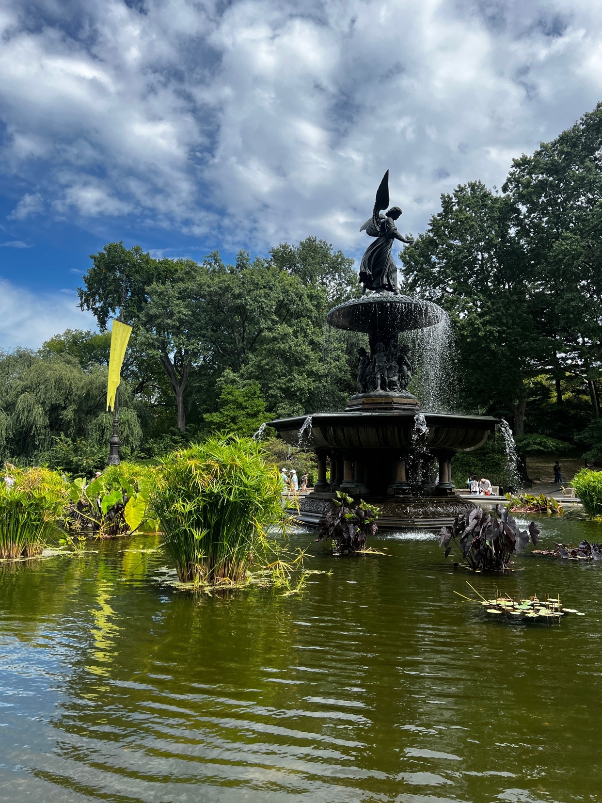 Photo by ciaranmillard.c03