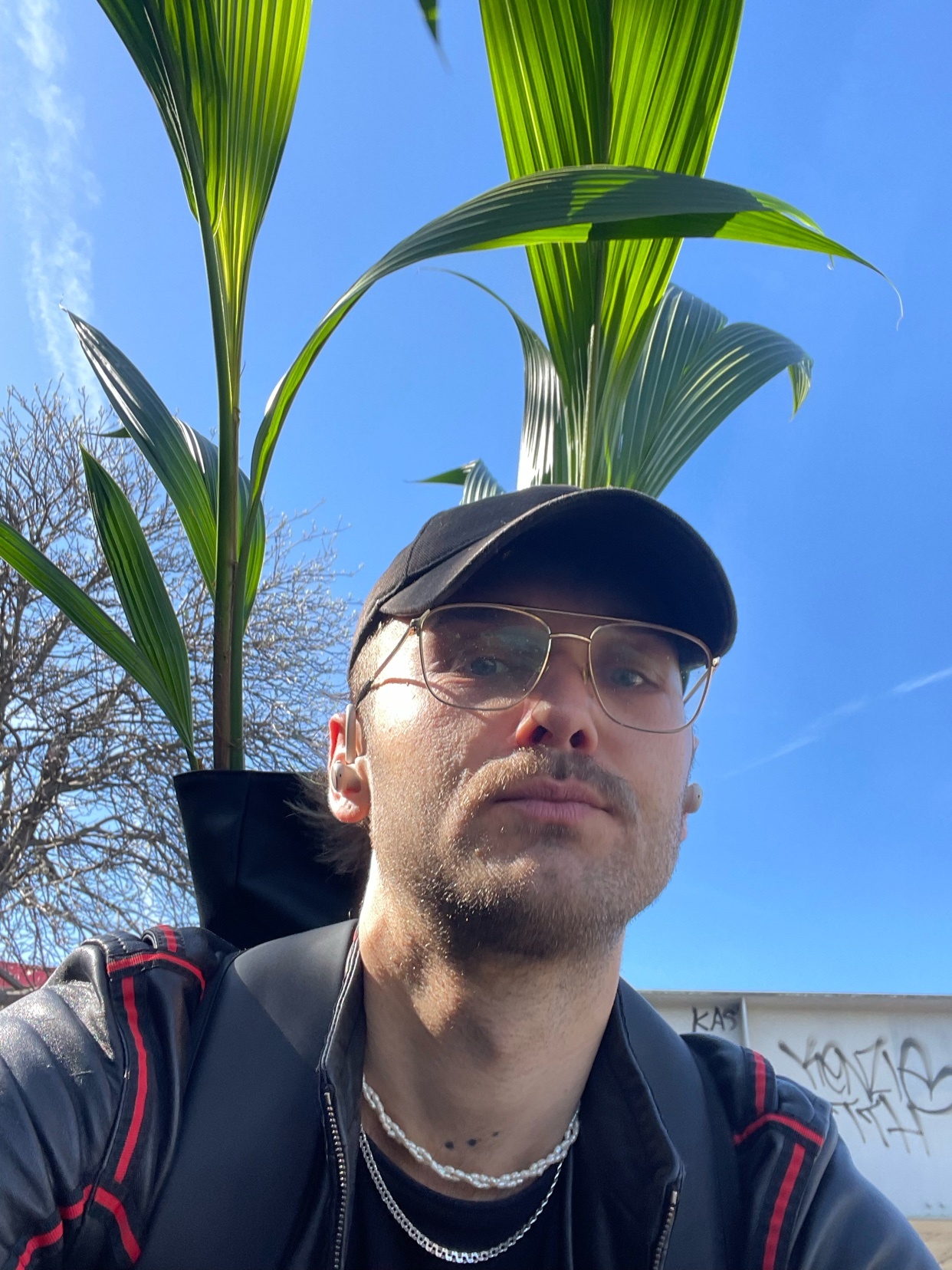 A man wearing glasses and a baseball cap takes a selfie outdoors with a large plant behind him.