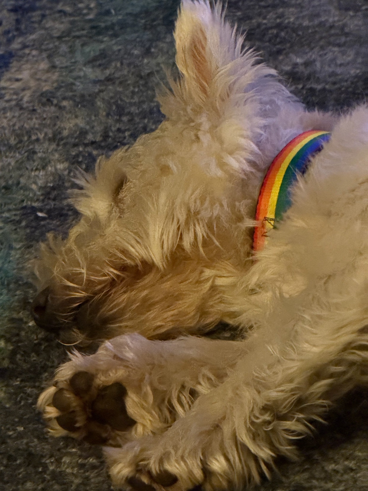 Photo by happy-to-talk