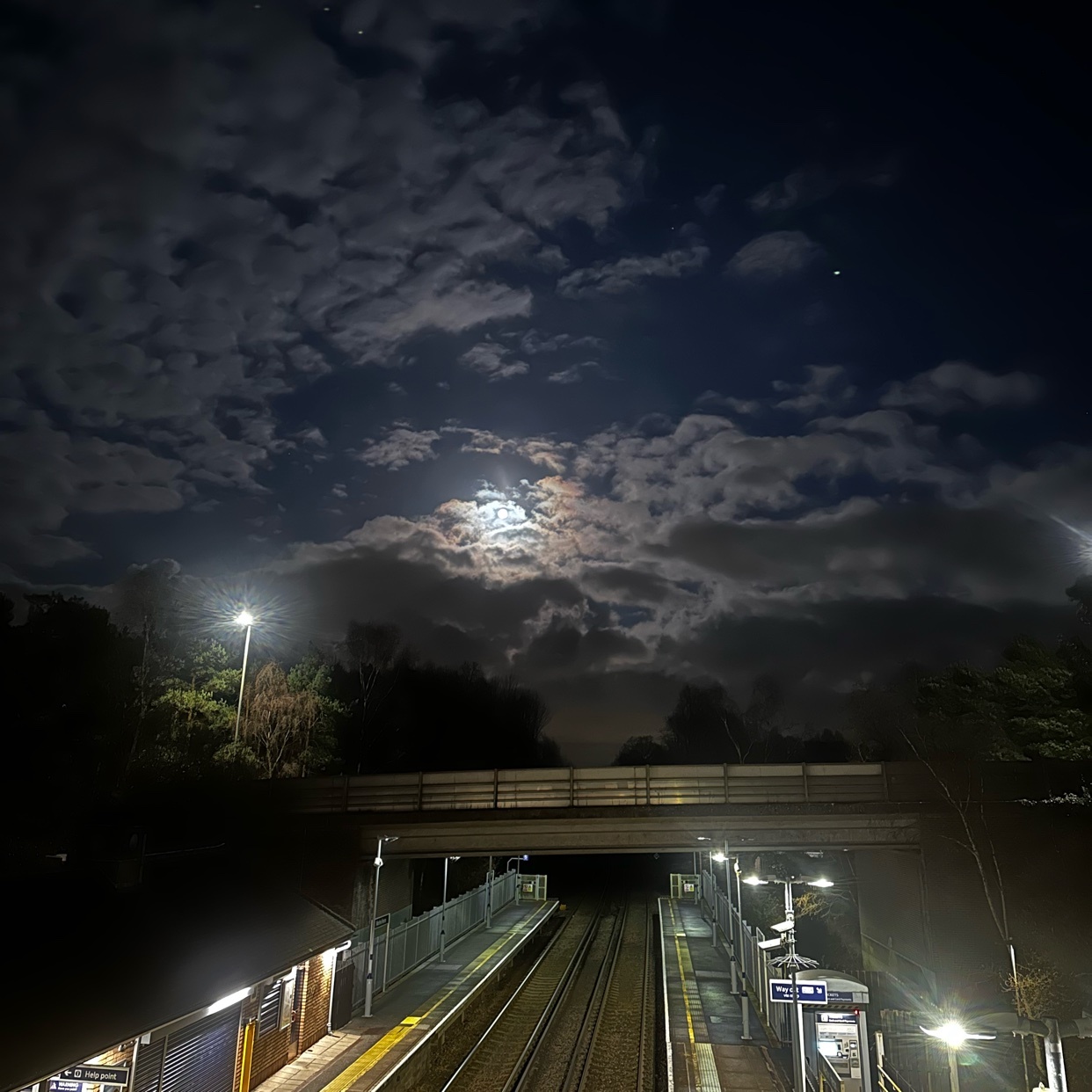 Photo by thotanist / Anthony Bridgen on Collective